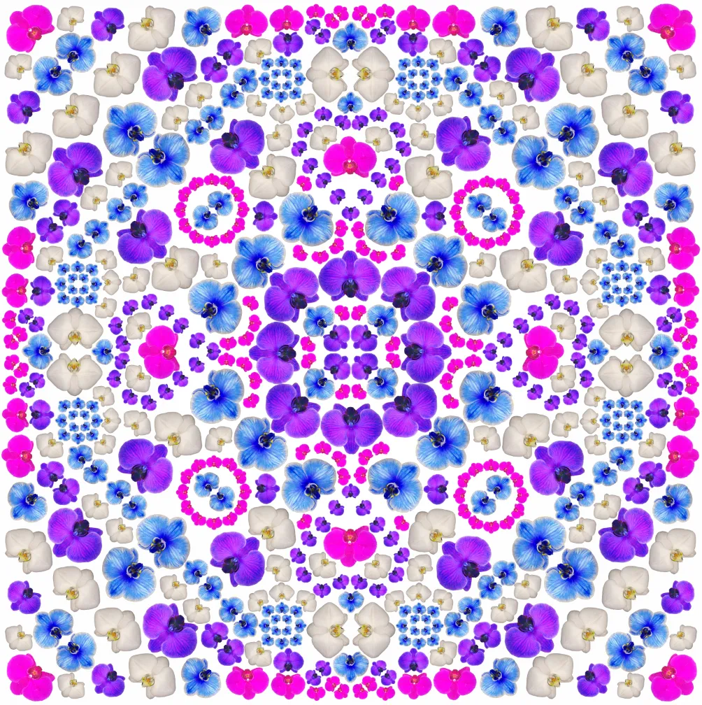 Orchid Mandala Original Print | Chairish