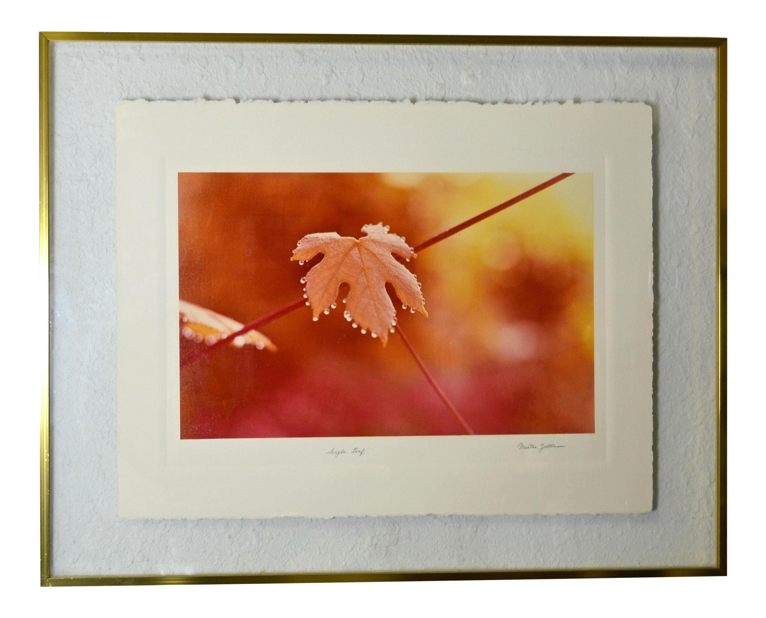 large double photo frame