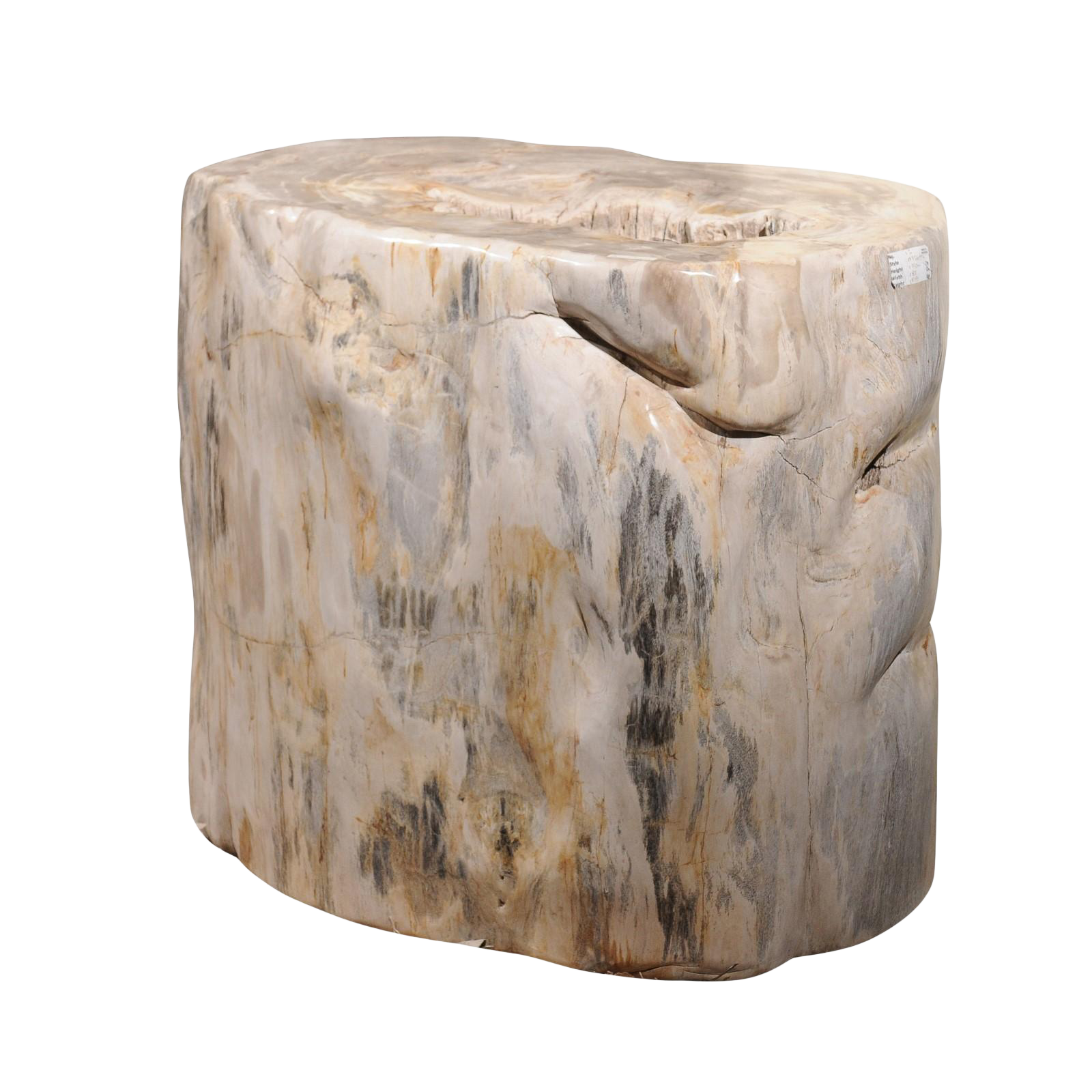 Large Petrified Wood Table Base Chairish