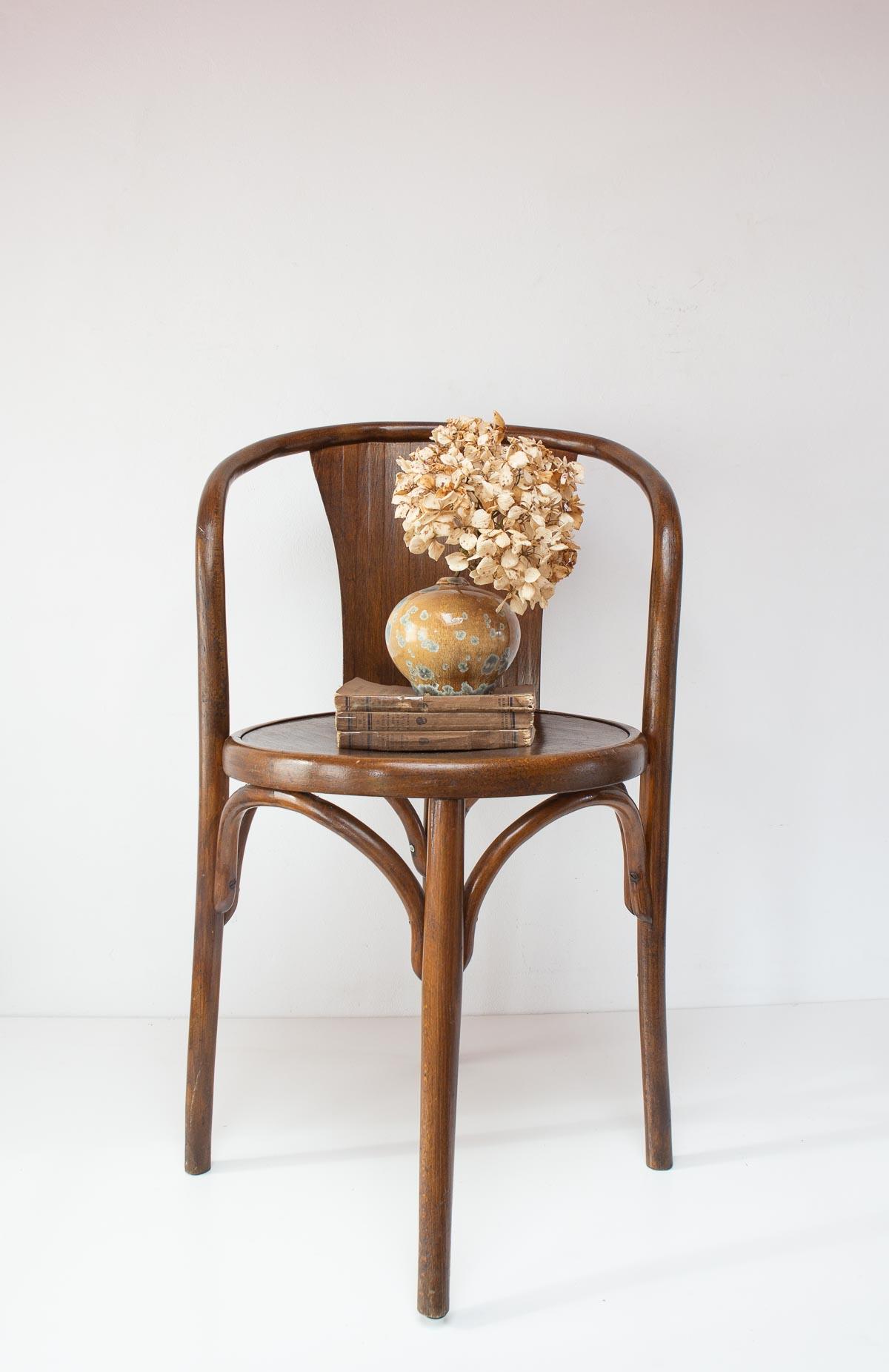 Bentwood E15 C Chair from Fischel, Former Czechoslovakia, 1920s
