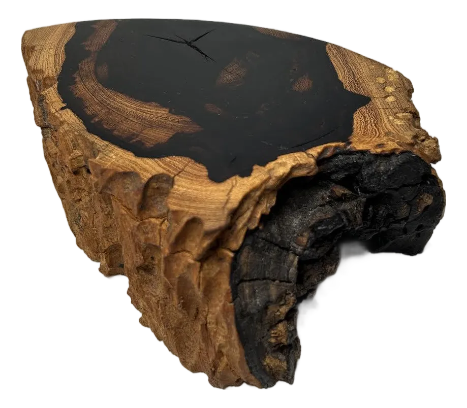 1980s Early Work Jeffrey Seaton Box, Desert Ironwood - 1 Piece