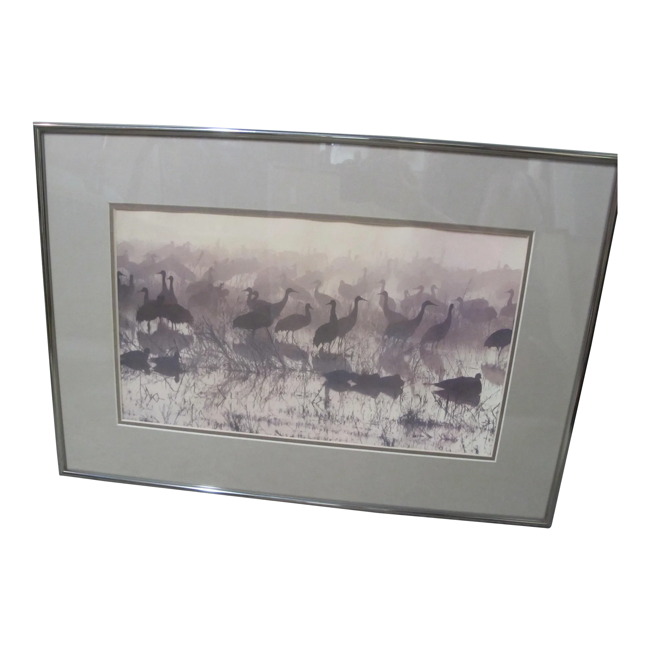 Audubon Society Framed Magazine Twilight Bird Gathering Print