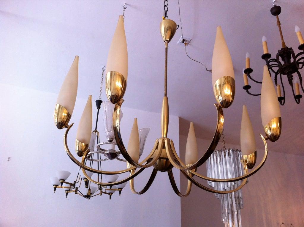 Aloe Hercules Austrian 1960s \