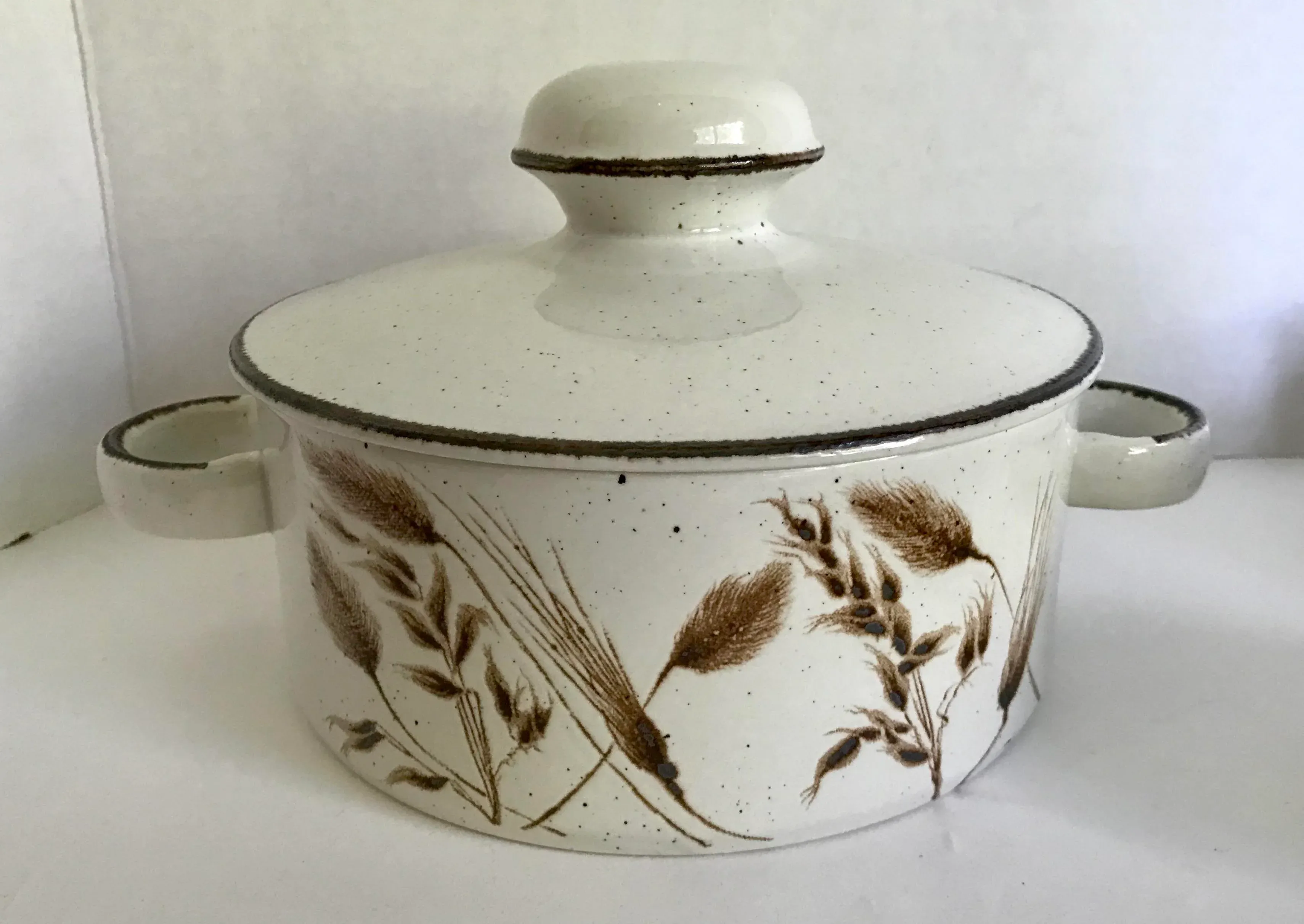 イギリス1960年陶器ミッドウィンター38点セットMade in England イギリス1960年陶器ミッドウィンター38点セットMade in England