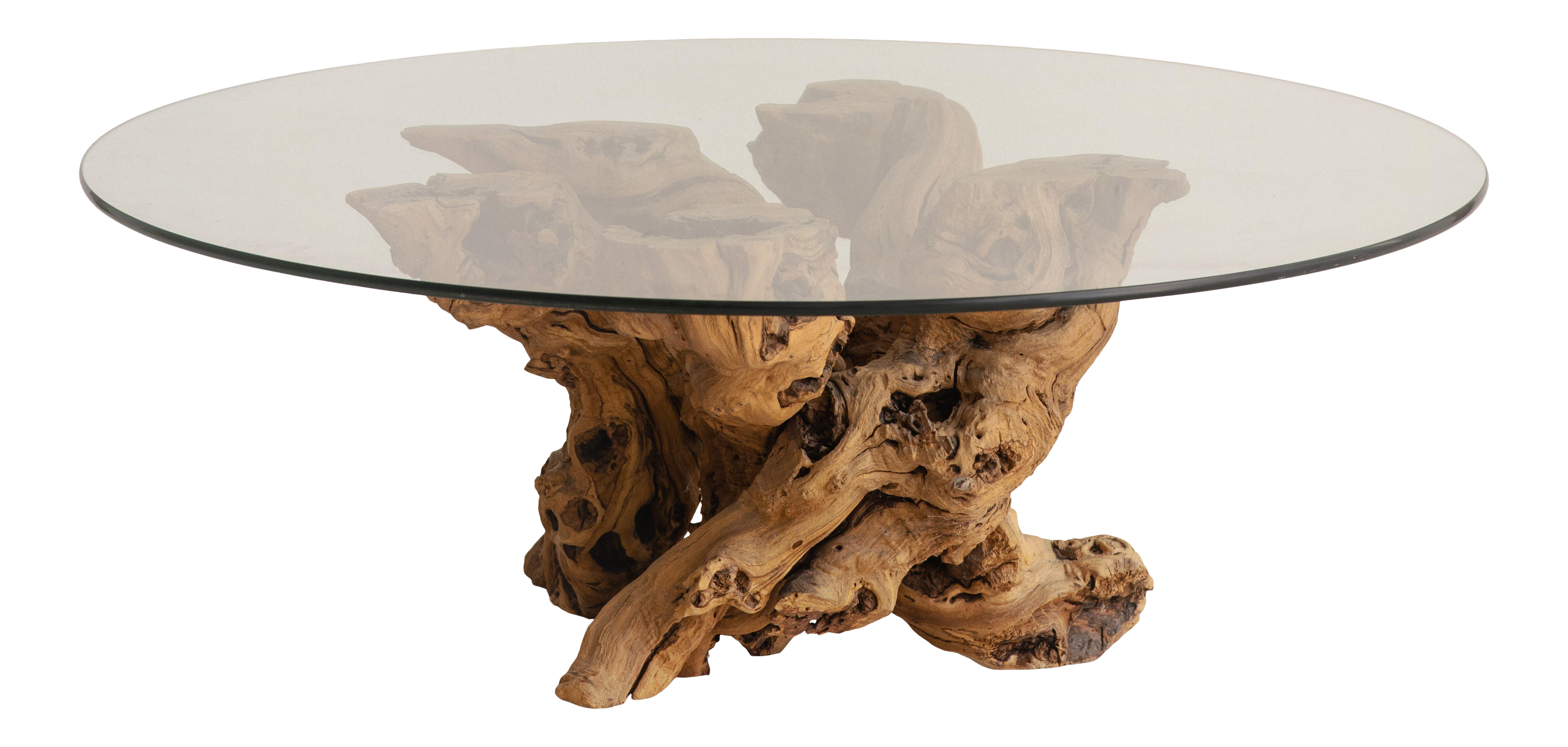 Mid 20th Century Cypress Freeform Driftwood Coffee Table With Round Glass Top Chairish