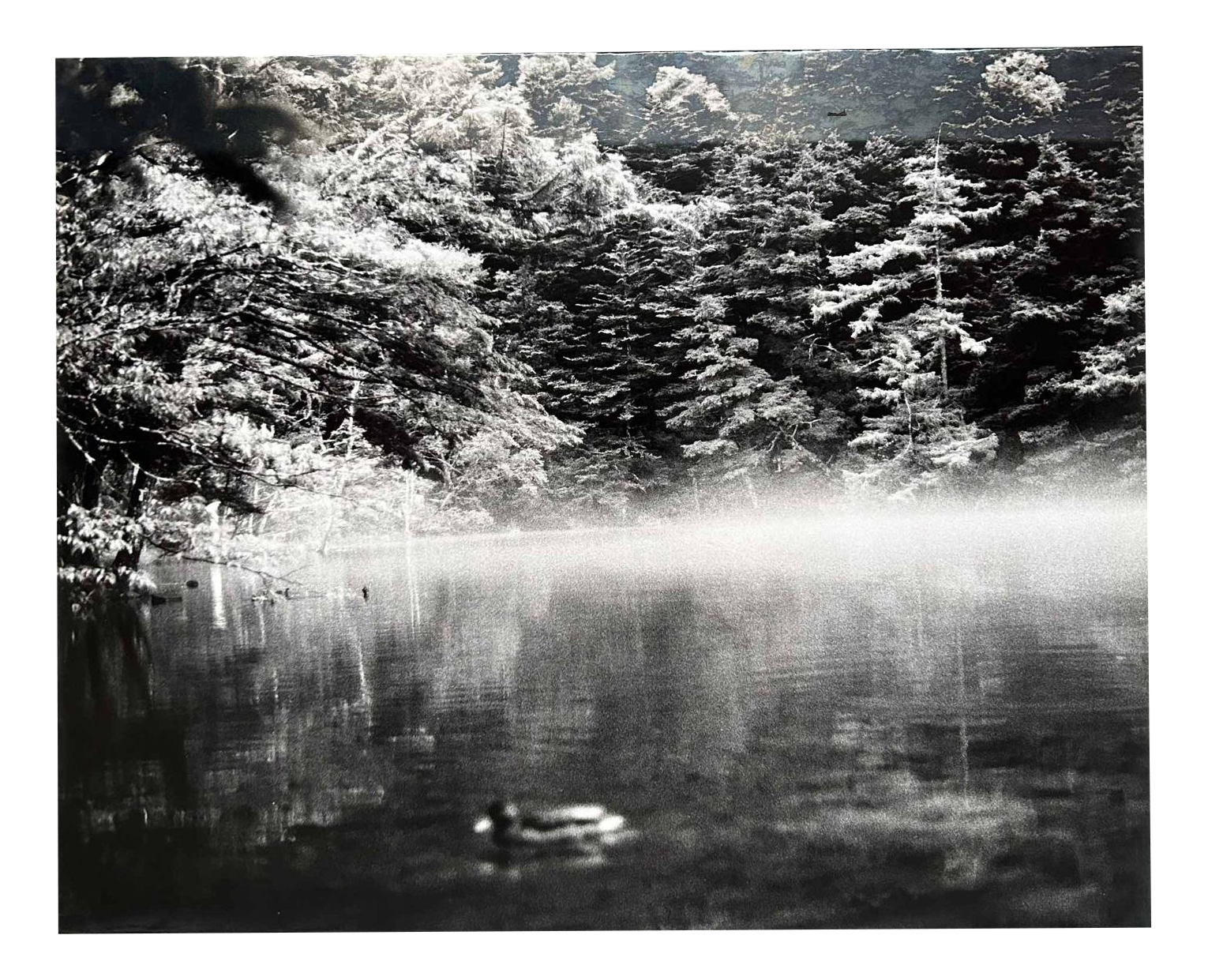 アート・デザイン・音楽 TheNature of Photographs StephenShore 特価】 Stephen Shore: Photographs 1973 - 1993 by SHORE