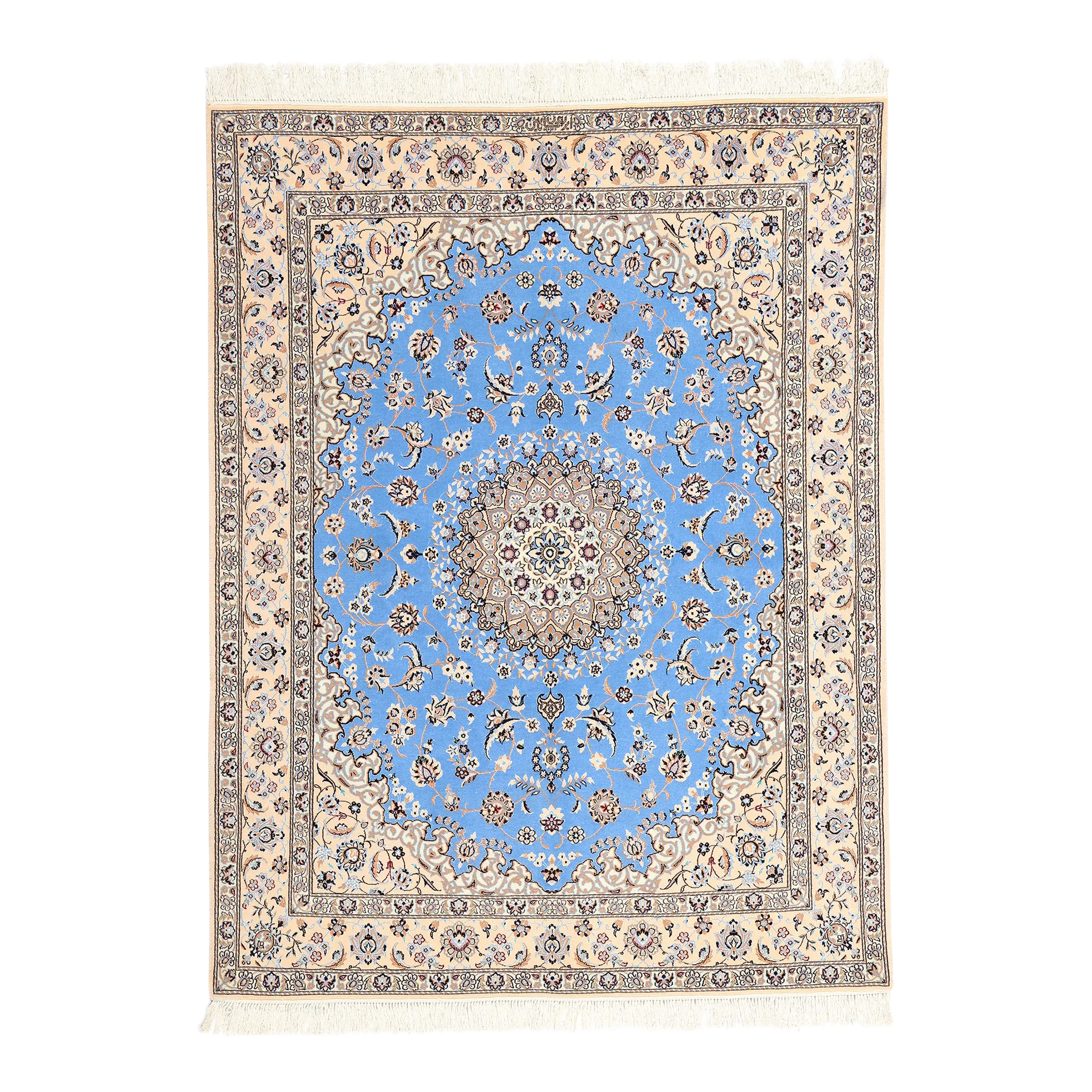 signed-habibian-persian-nain-