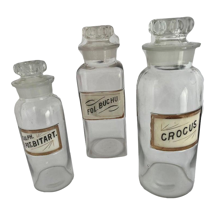 Set of Three English Apothecary Bottles Chairish