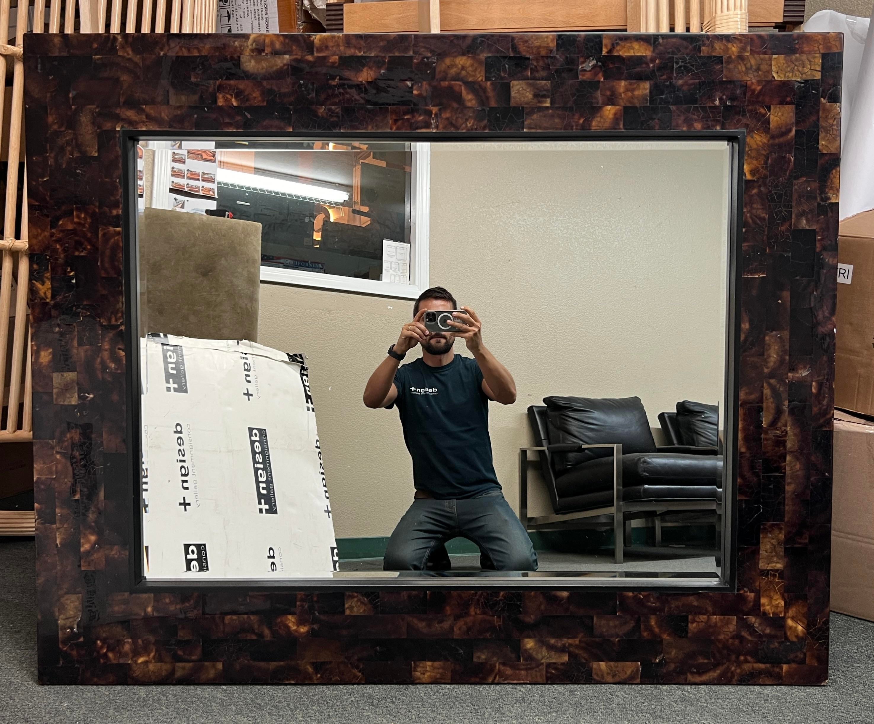 Z Gallerie Horn Framed Wall Mirror | Chairish