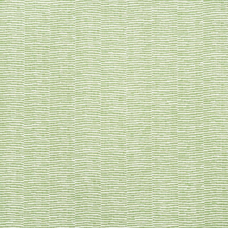 Schumacher Promenade Indoor & Outdoor Fabric in Leaf | Chairish