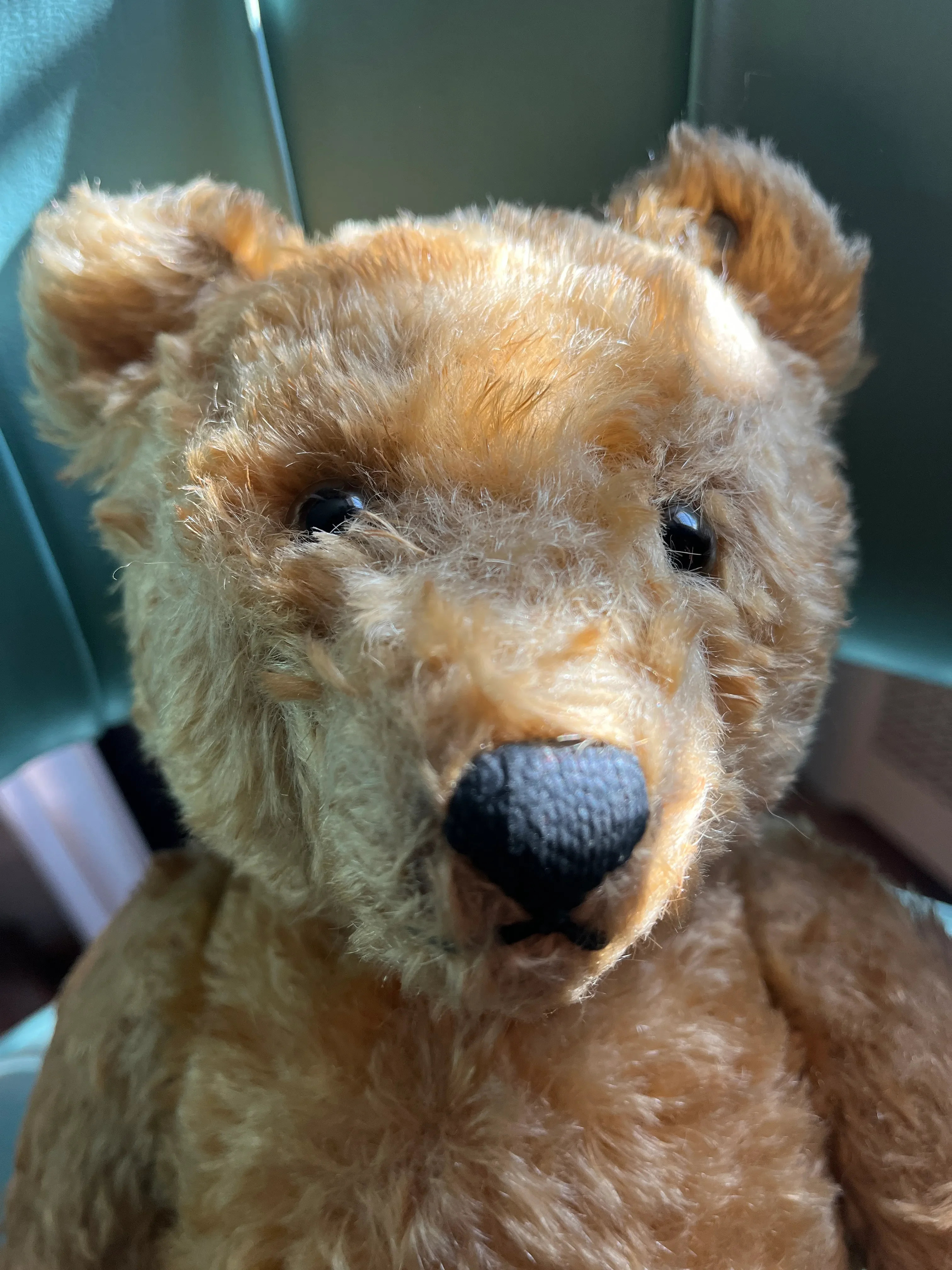 1940s Steiff Bear, Made in Germany | Chairish