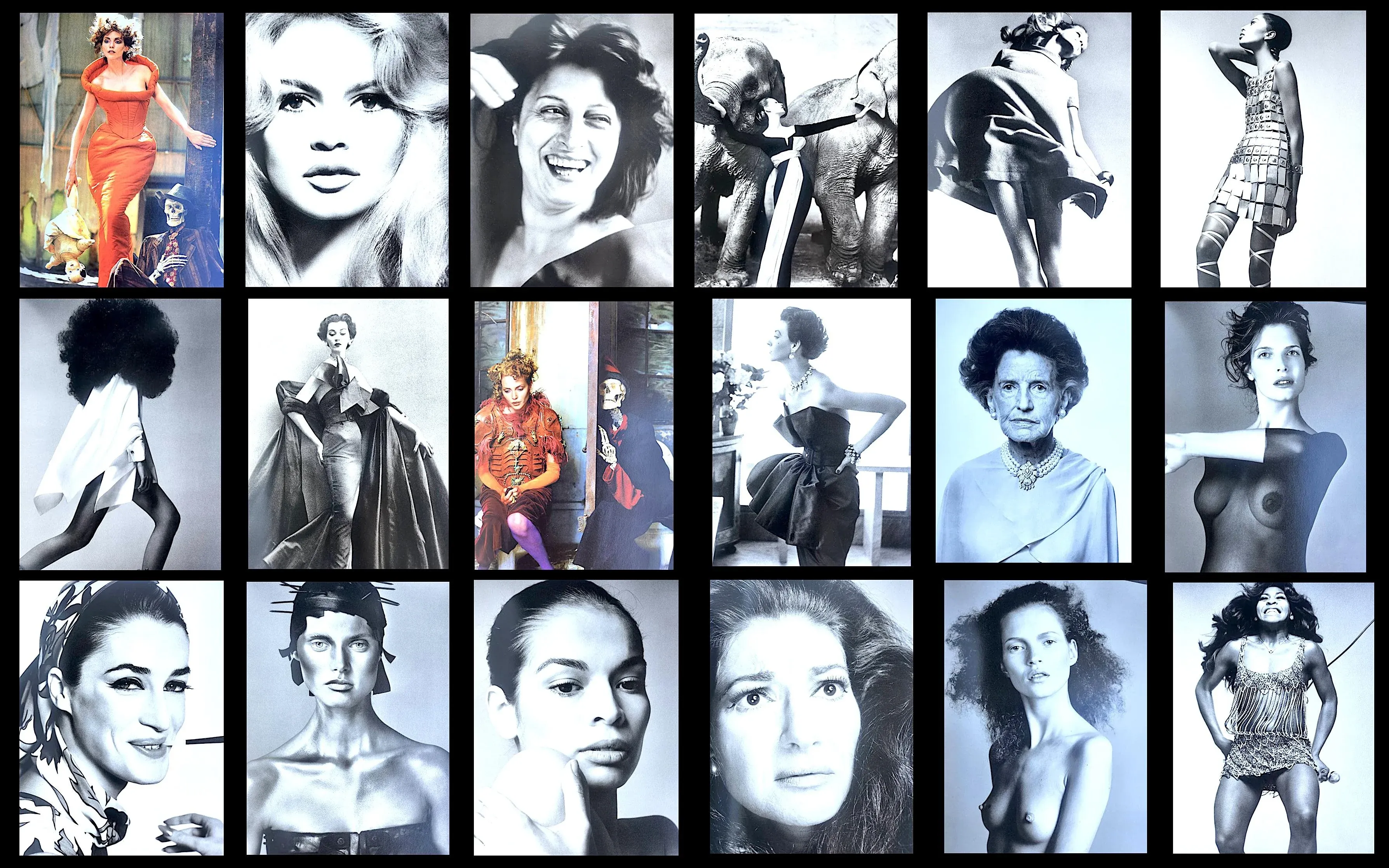 2005 Richard Avedon Art Photography Book, 