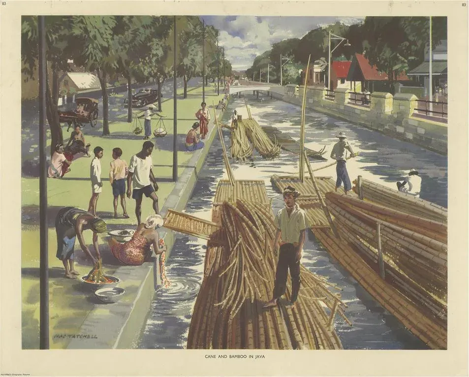 Vintage Poster of Cane and Bamboo Transportation on Java c.1960