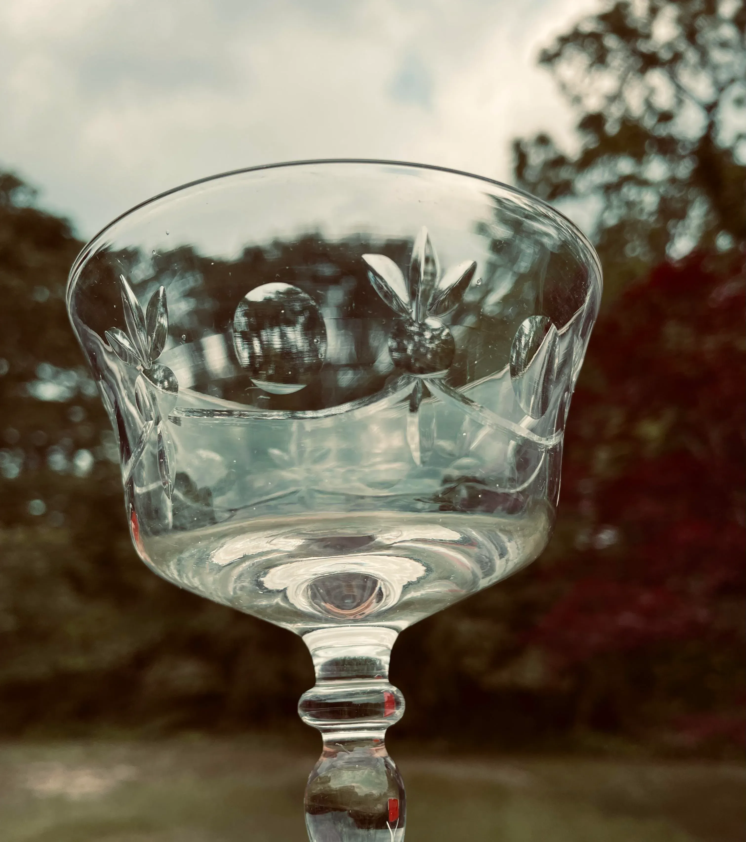 Vintage Clear Floral Etched Champagne/ Wine Glasses- Set of 4