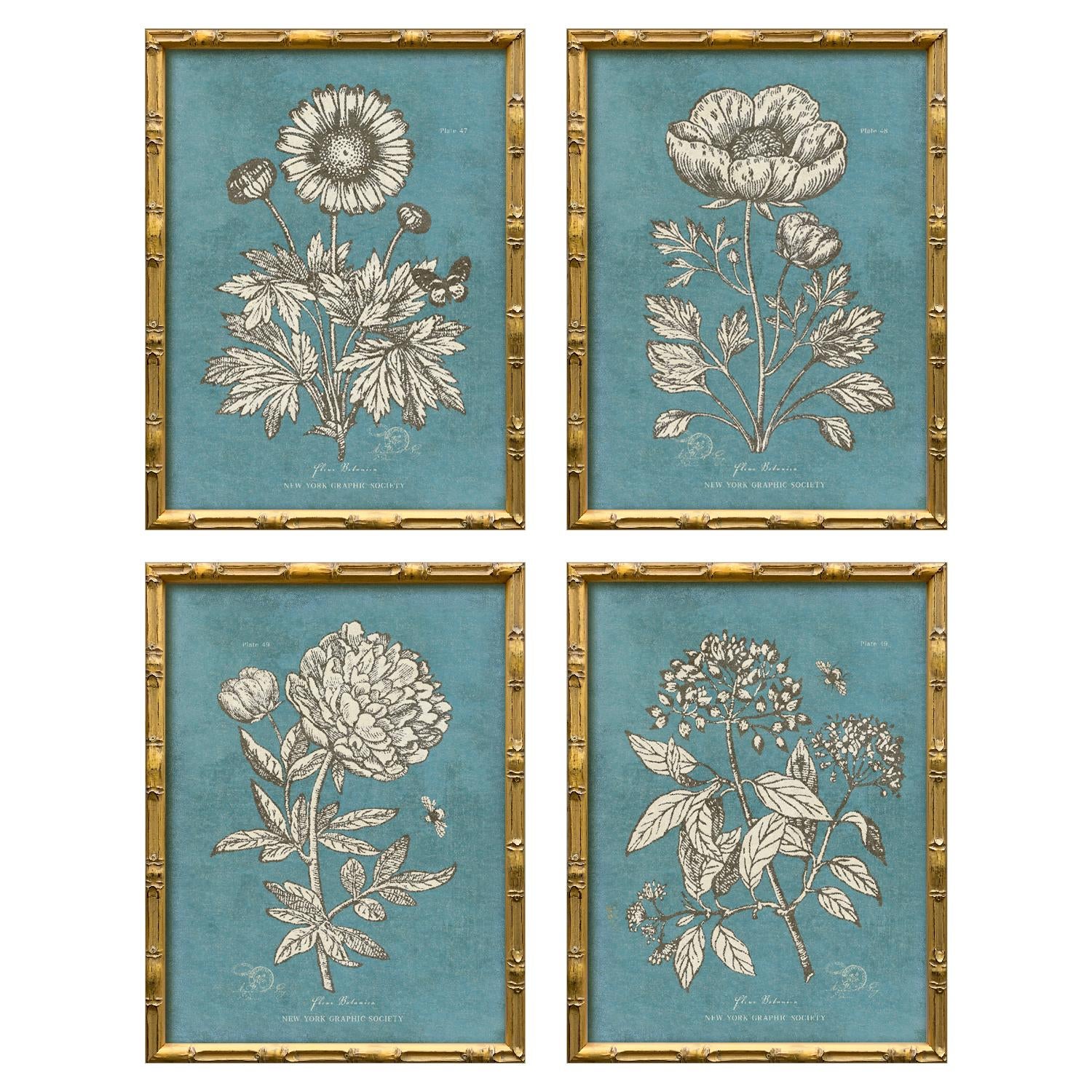 Vintage Blue Botanical Art Print Reproduction (4), Framed | Chairish