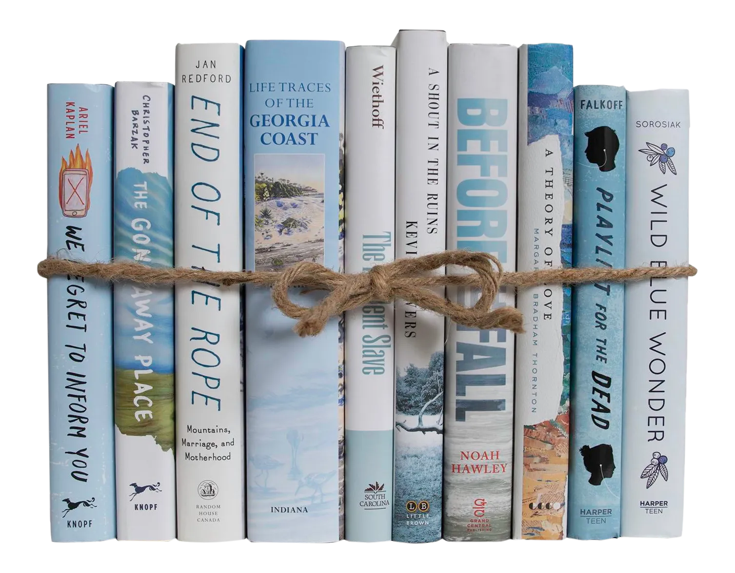 Modern Nautical Dust Jacket ColorPak Chairish