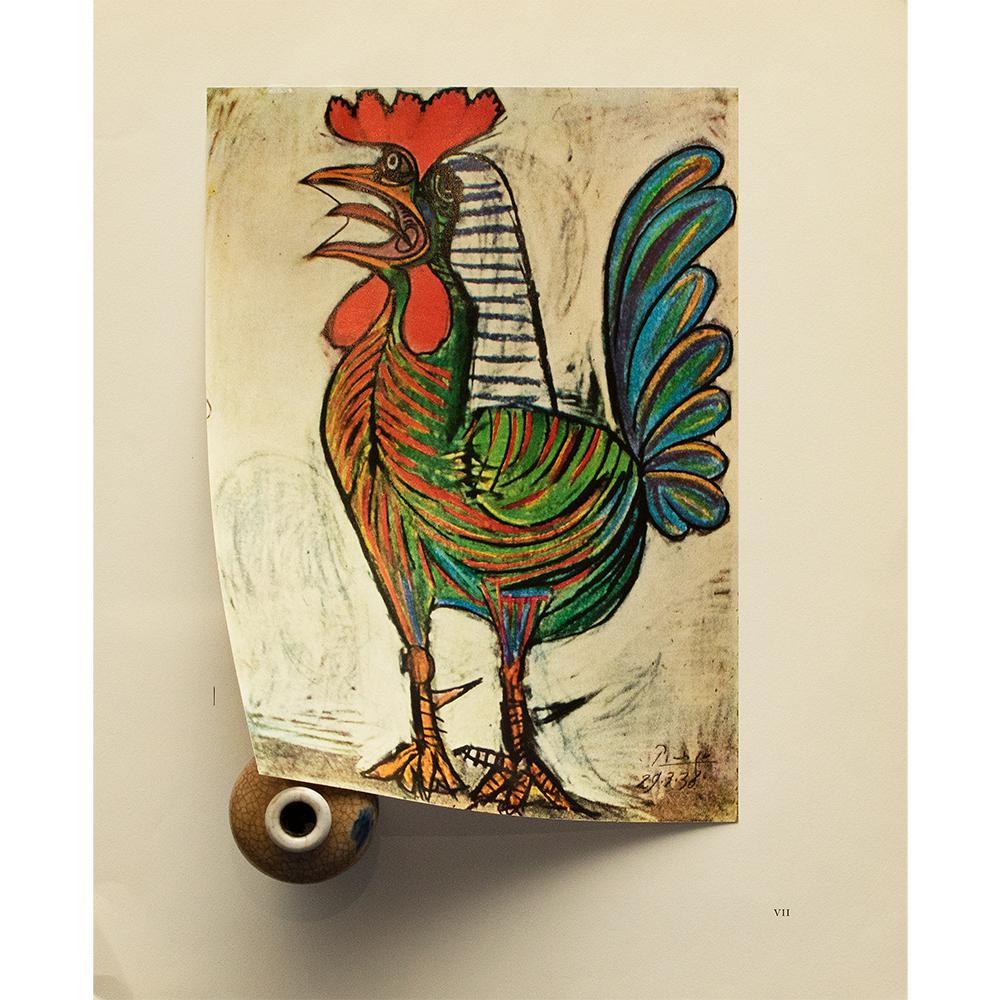 Le top coq picasso