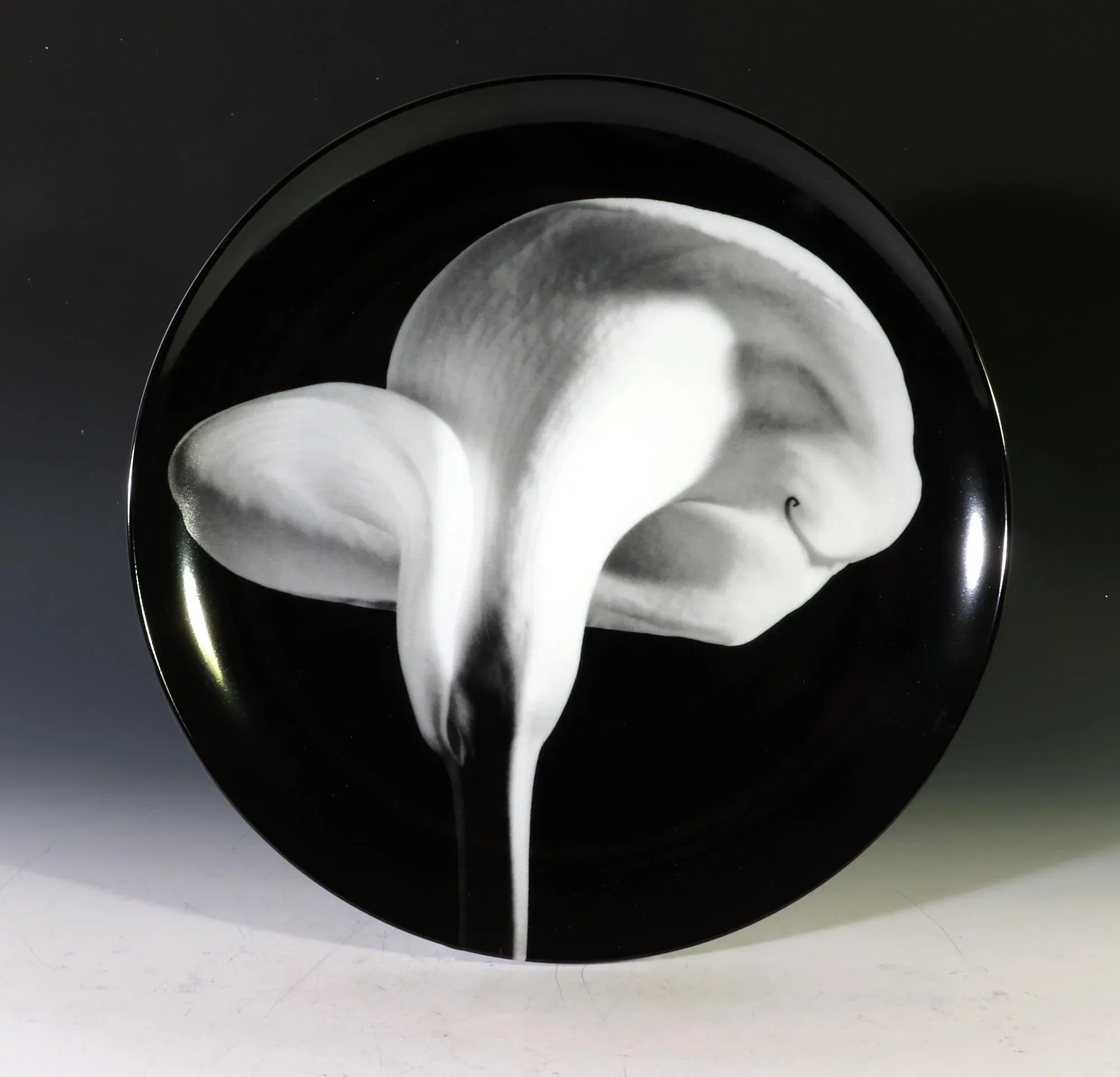 すぐ届く！ SAINT Mxxxxxx ROBERT MAPPLETHORPE CALLA LILY SS T Robert Mapplethorpe | Calla Lily (1988) | Artsy