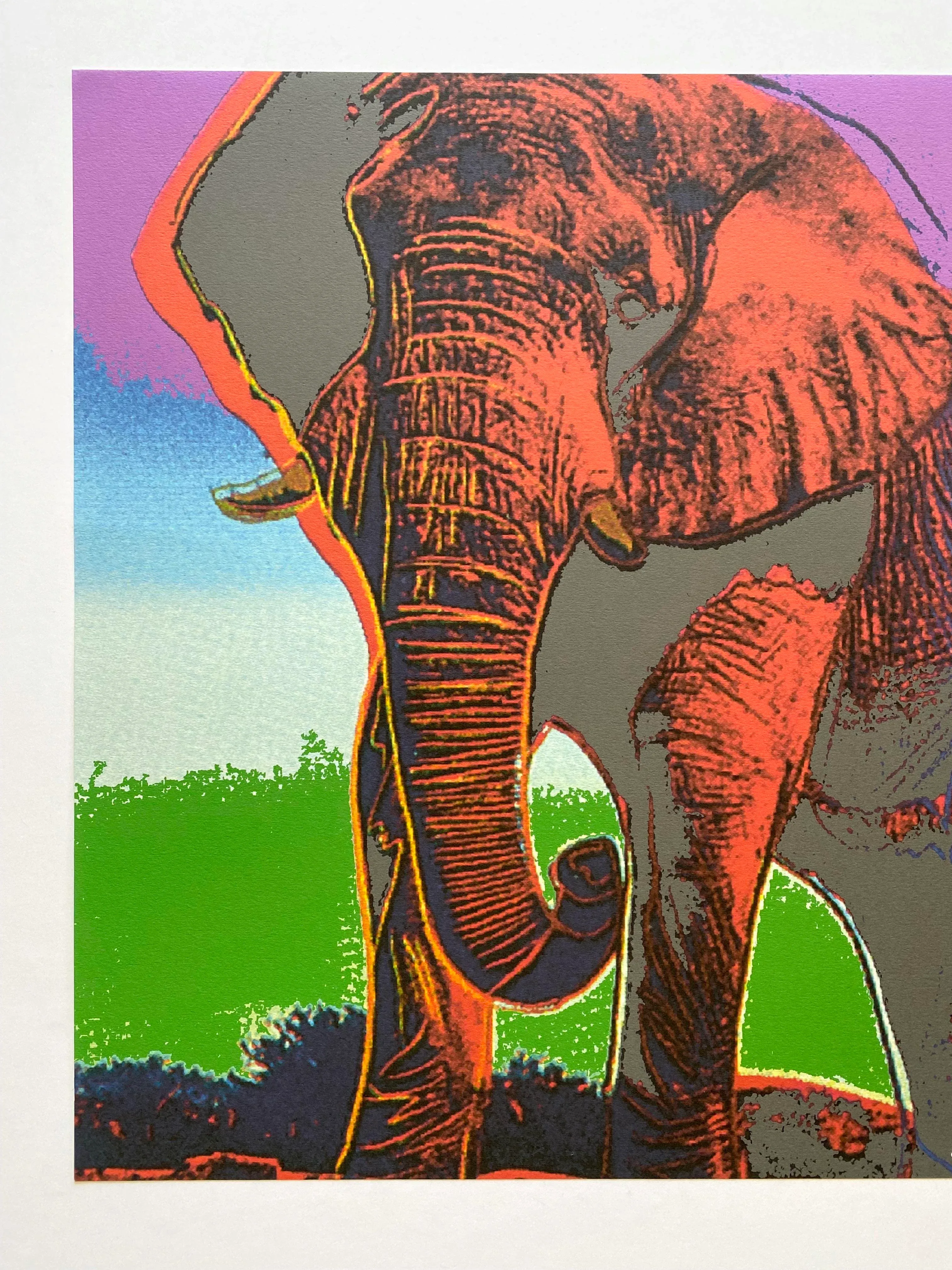 Andy Warhol Vintage 1986 Limited Edition Endangered Species Large