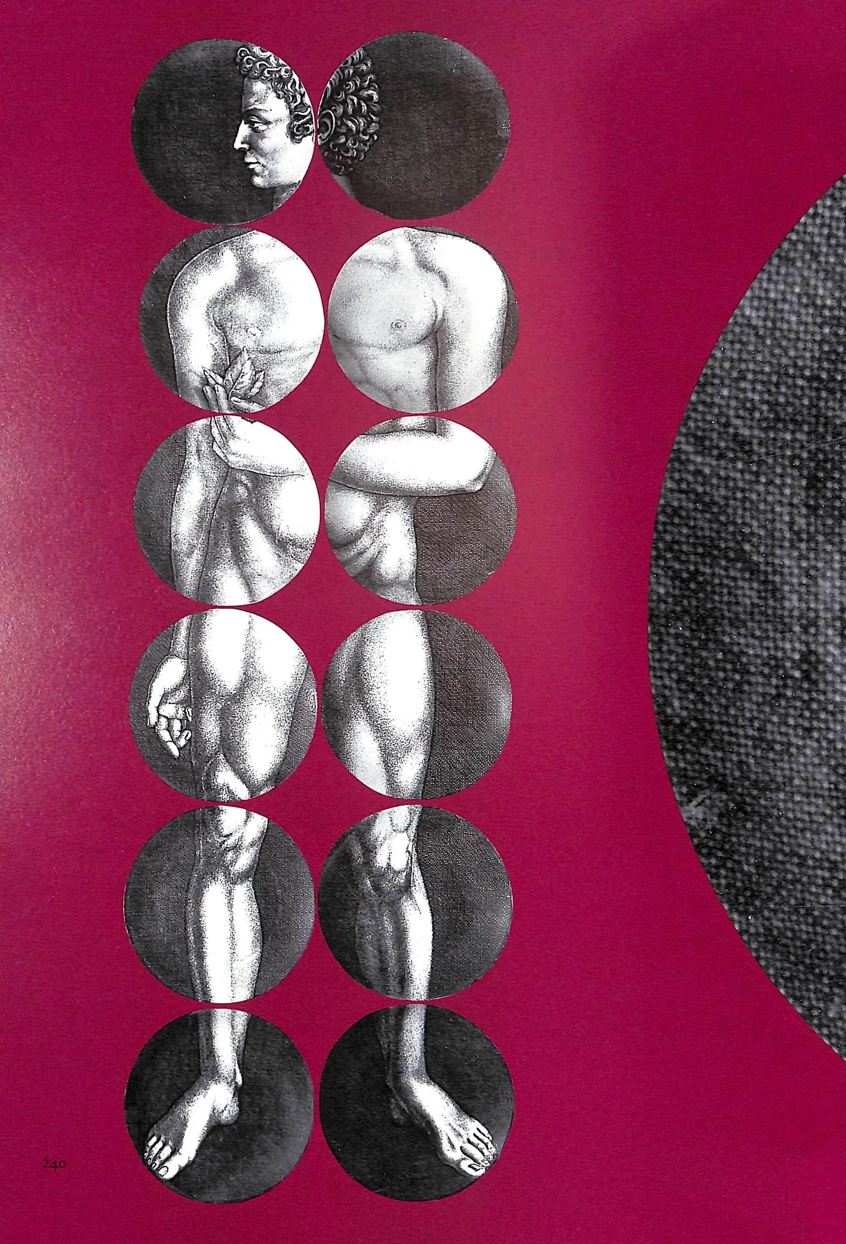 Fornasetti: Designer of Dreams 1991 by Mauries, Patrick | Chairish