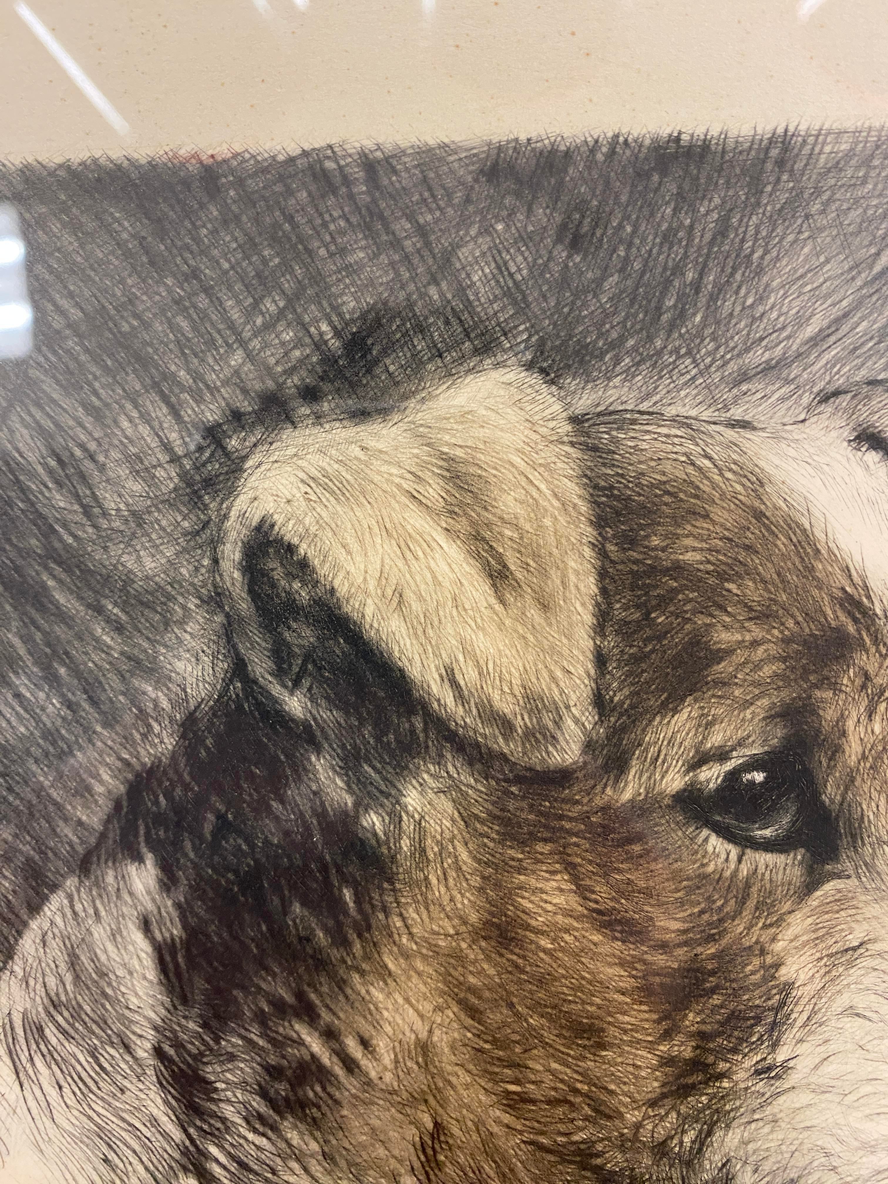 Early 20th Century Wire Fox Terrier Dog Original Signed Print by