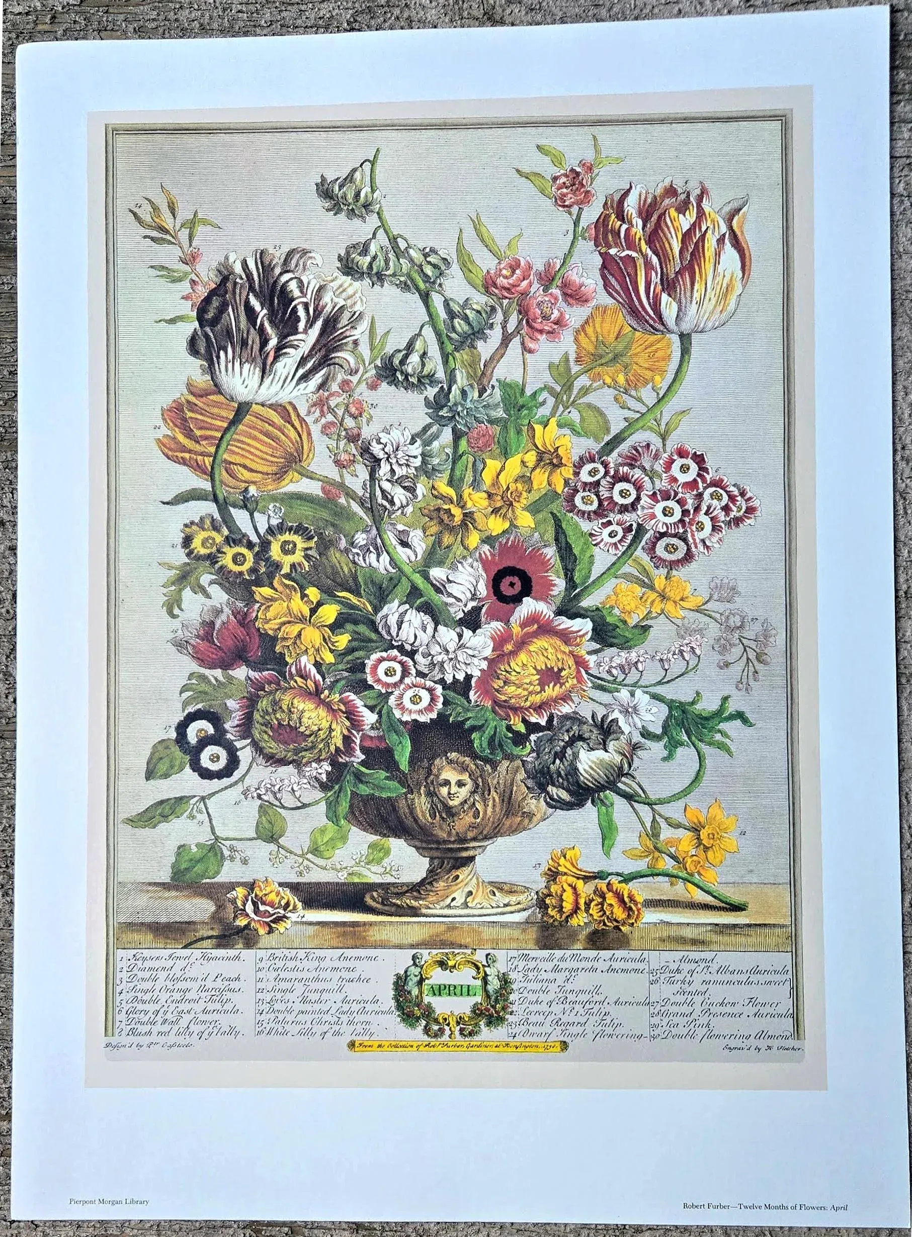 1980s Vintage Robert Furber April Botanical From 