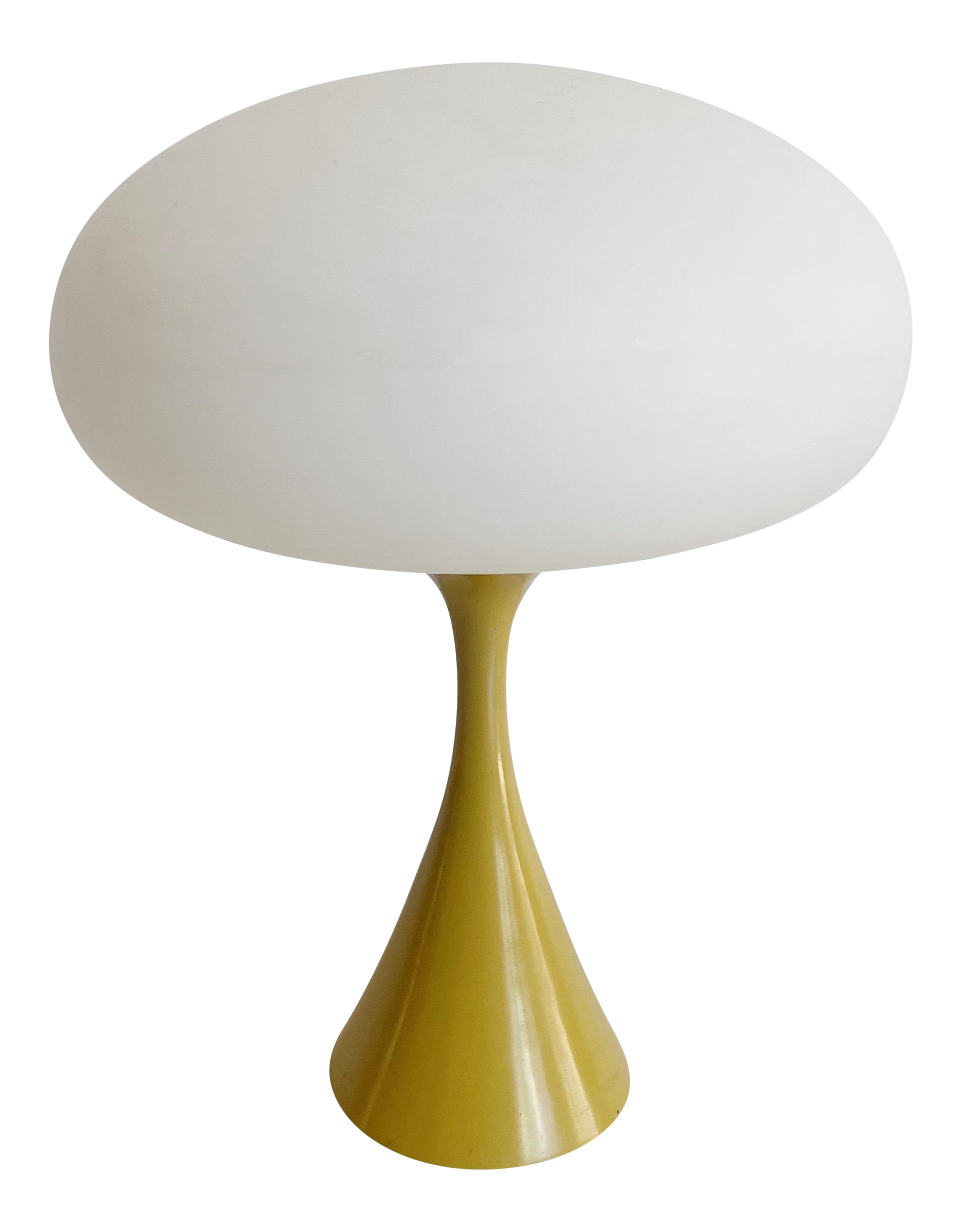 laurel mushroom