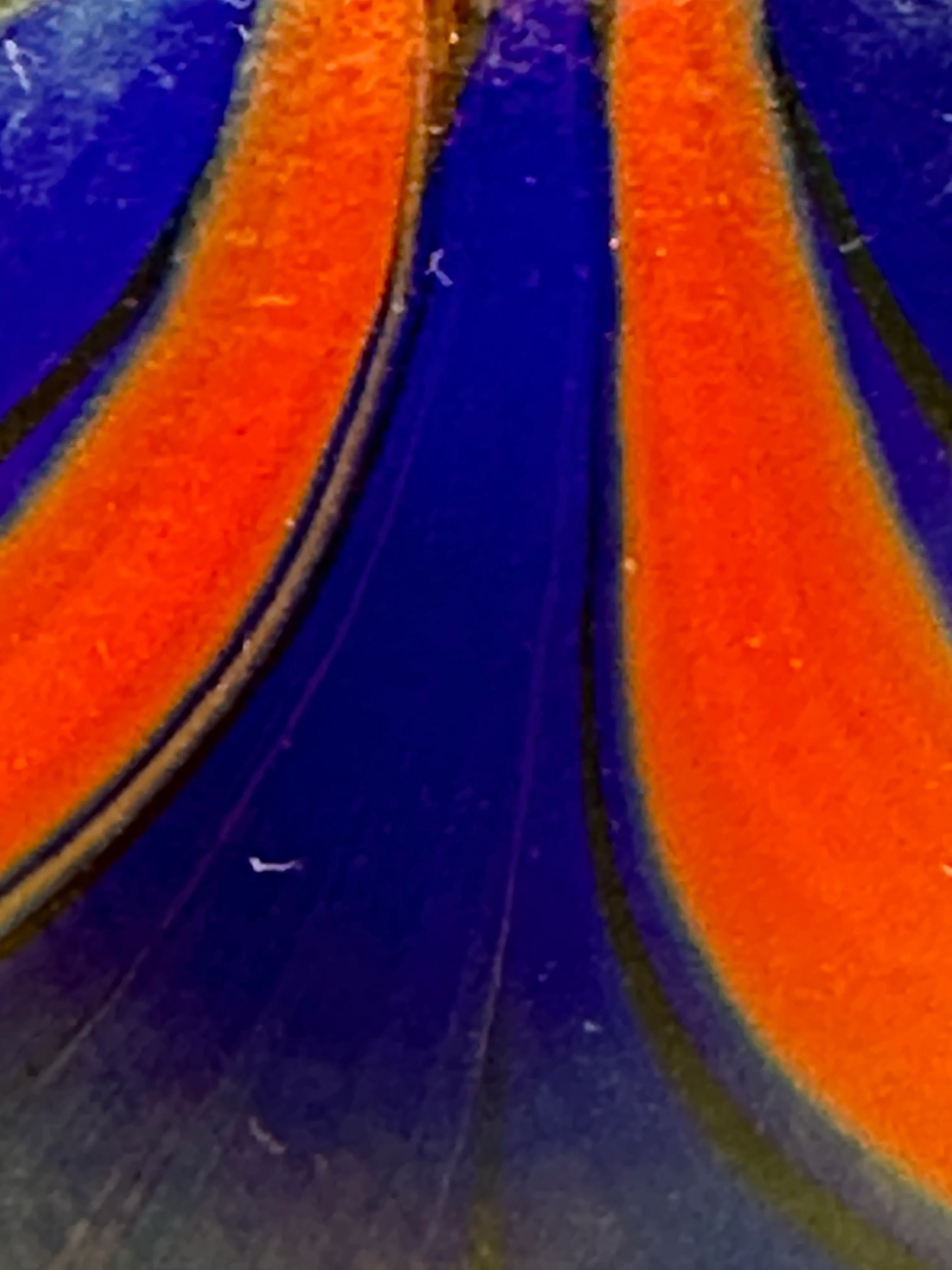 Iridescent Handmade Peacock Art Glass Vase
