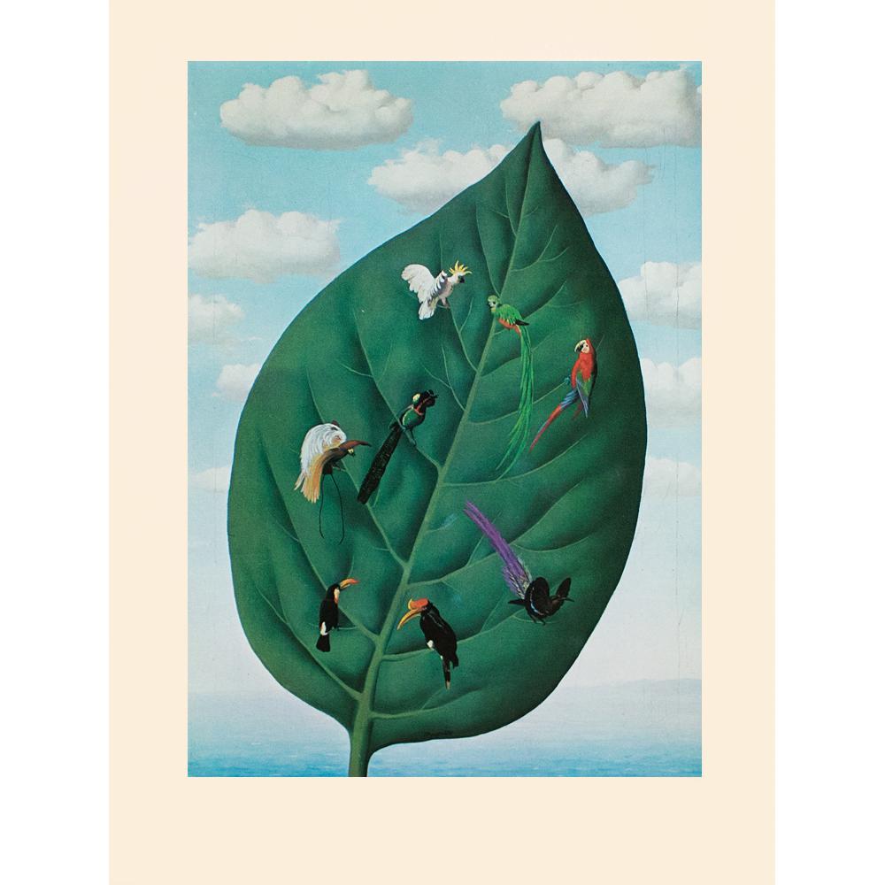 1972 After Rene Magritte, 