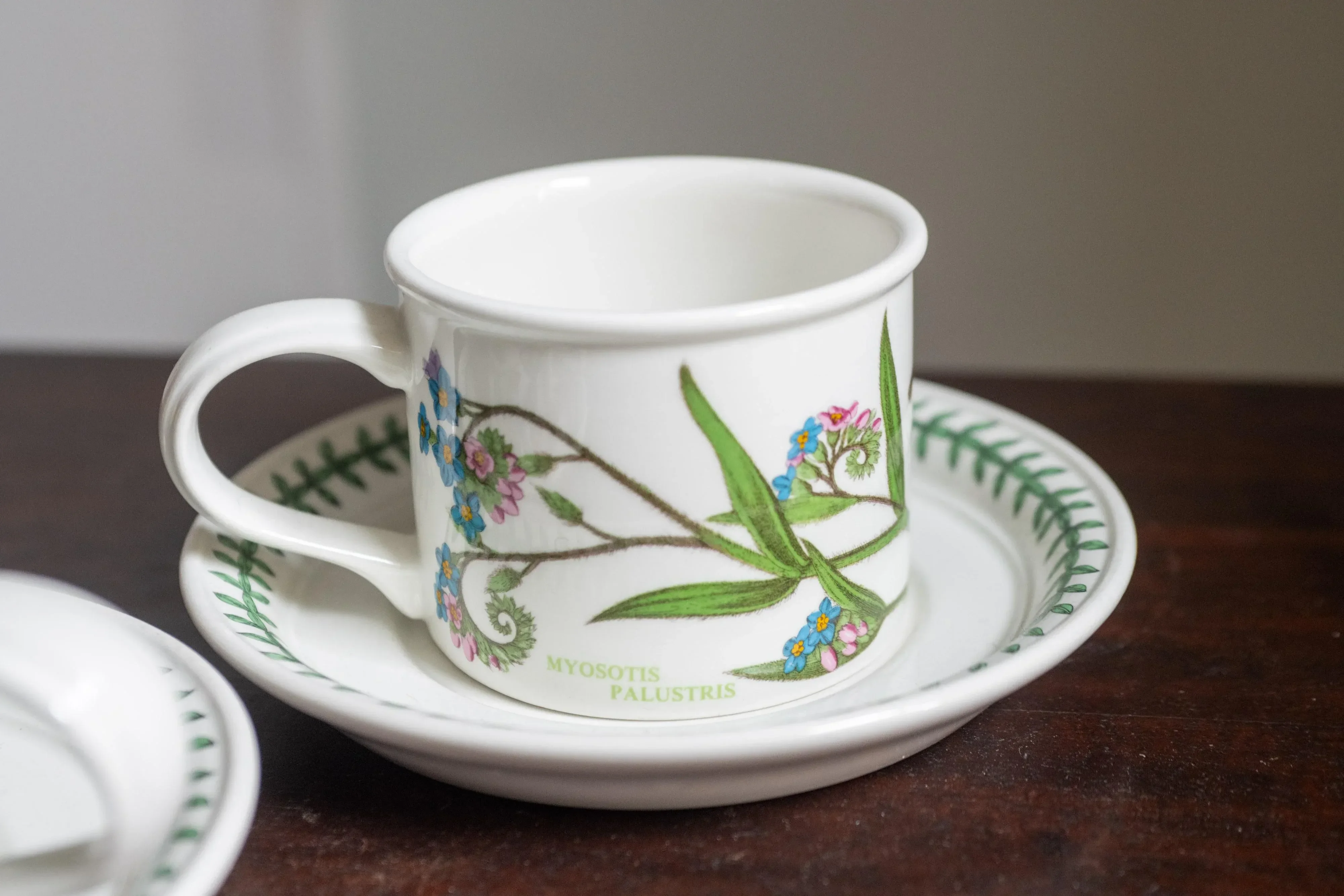 Vintage Portmeirion Botanic Garden Tea Breakfast Mugs and Saucer
