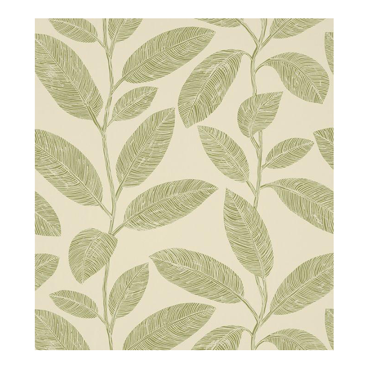 Komodo Leaves Wallpaper Olive Chairish