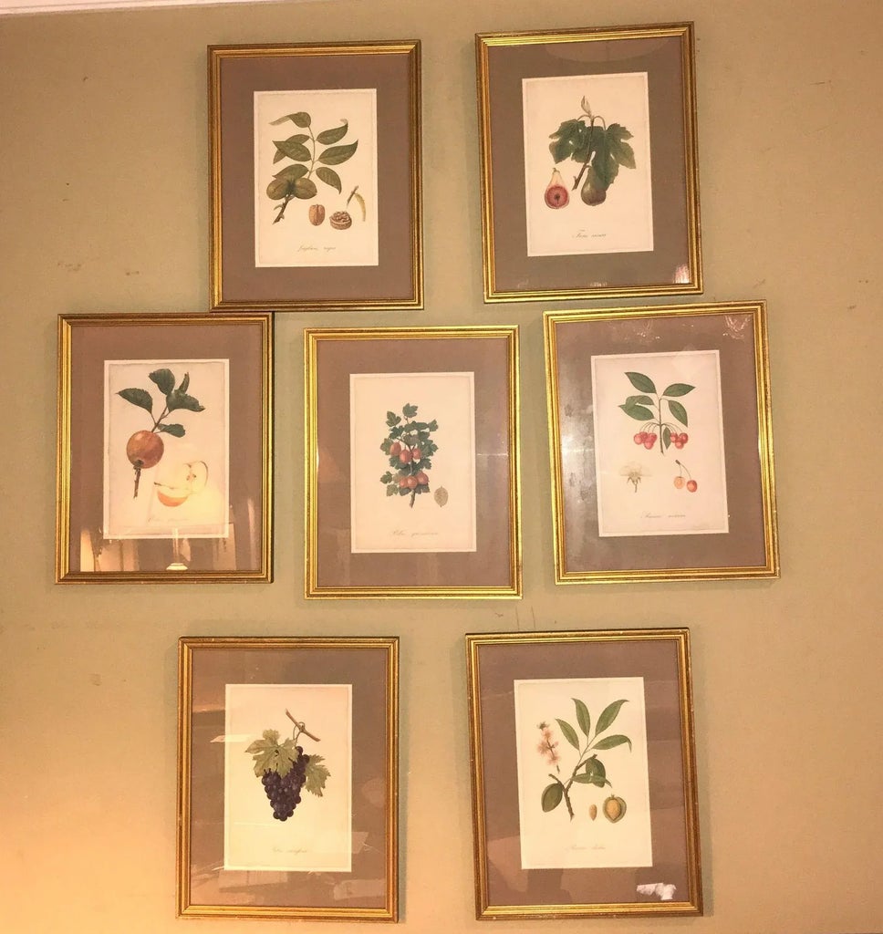 1930s Set of Seven Botanical Prints of Fruit Signed Peter Drafet