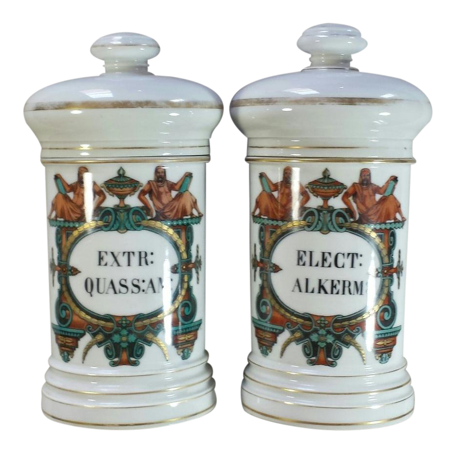 Pharmaceutical Apothecary Jars a Pair Chairish