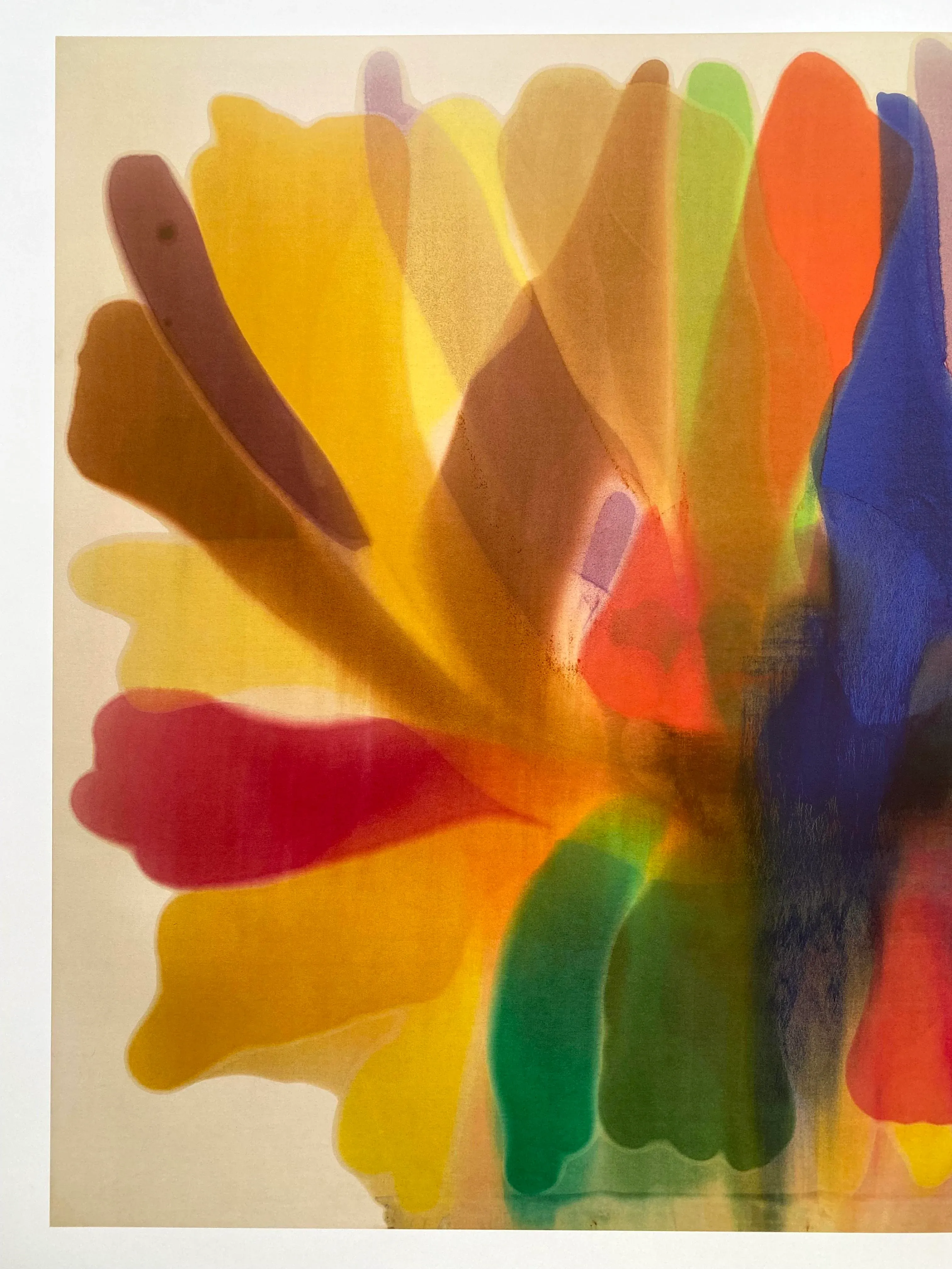 Morris Louis Modernist Lithograph Print Abstract Expressionist