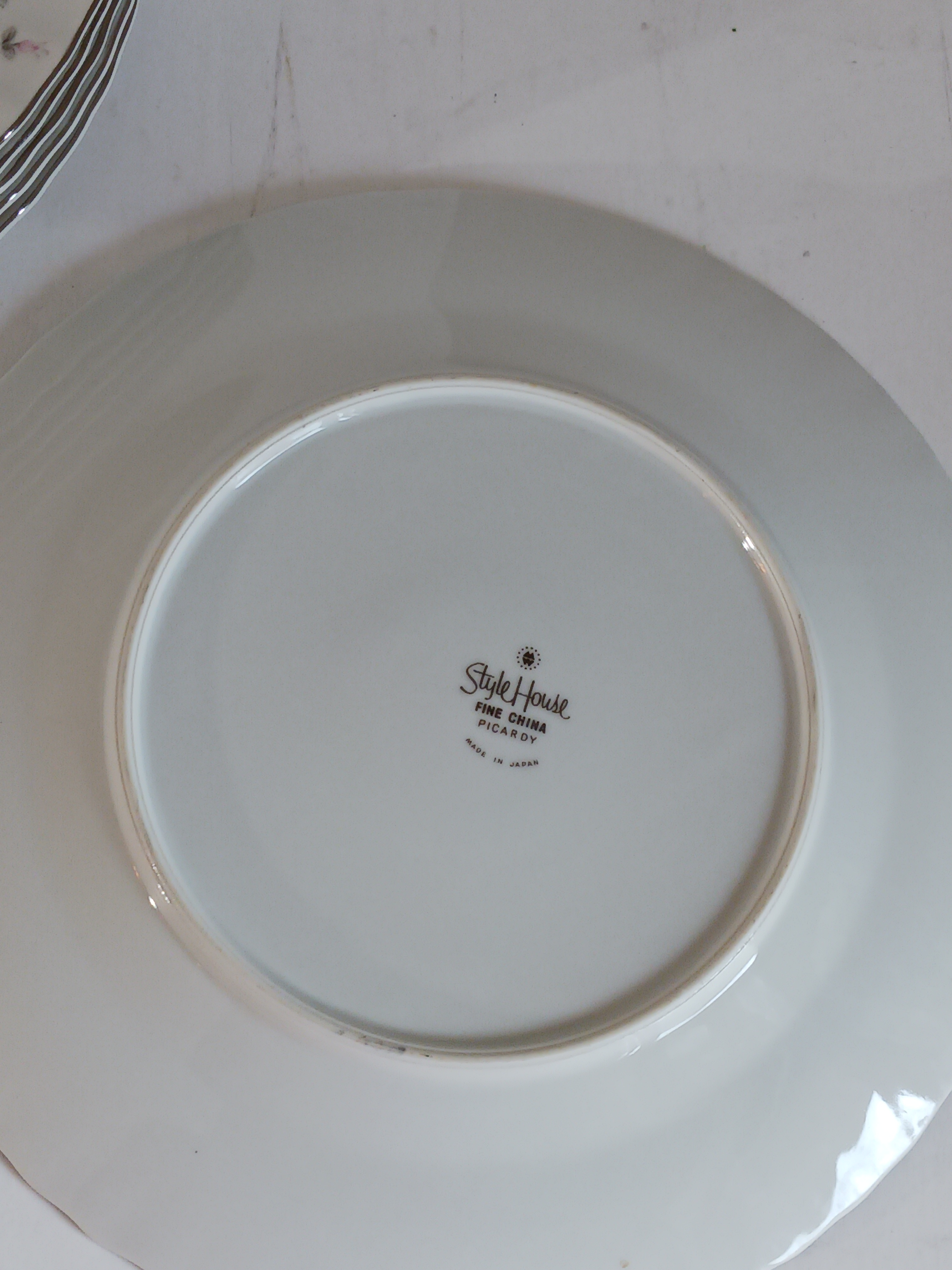 Set 12 MCM New 10 Dinner Plates by Style House Japan Rosebuds