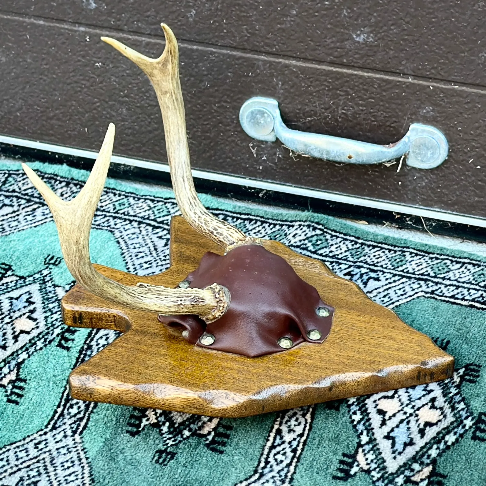 Vintage Deer Antlers Bowhunting Trophy Mounted on Arrow Shaped Carved Mahogany Wood1964 Citadel of Cairo Egypt Architectural Photograph