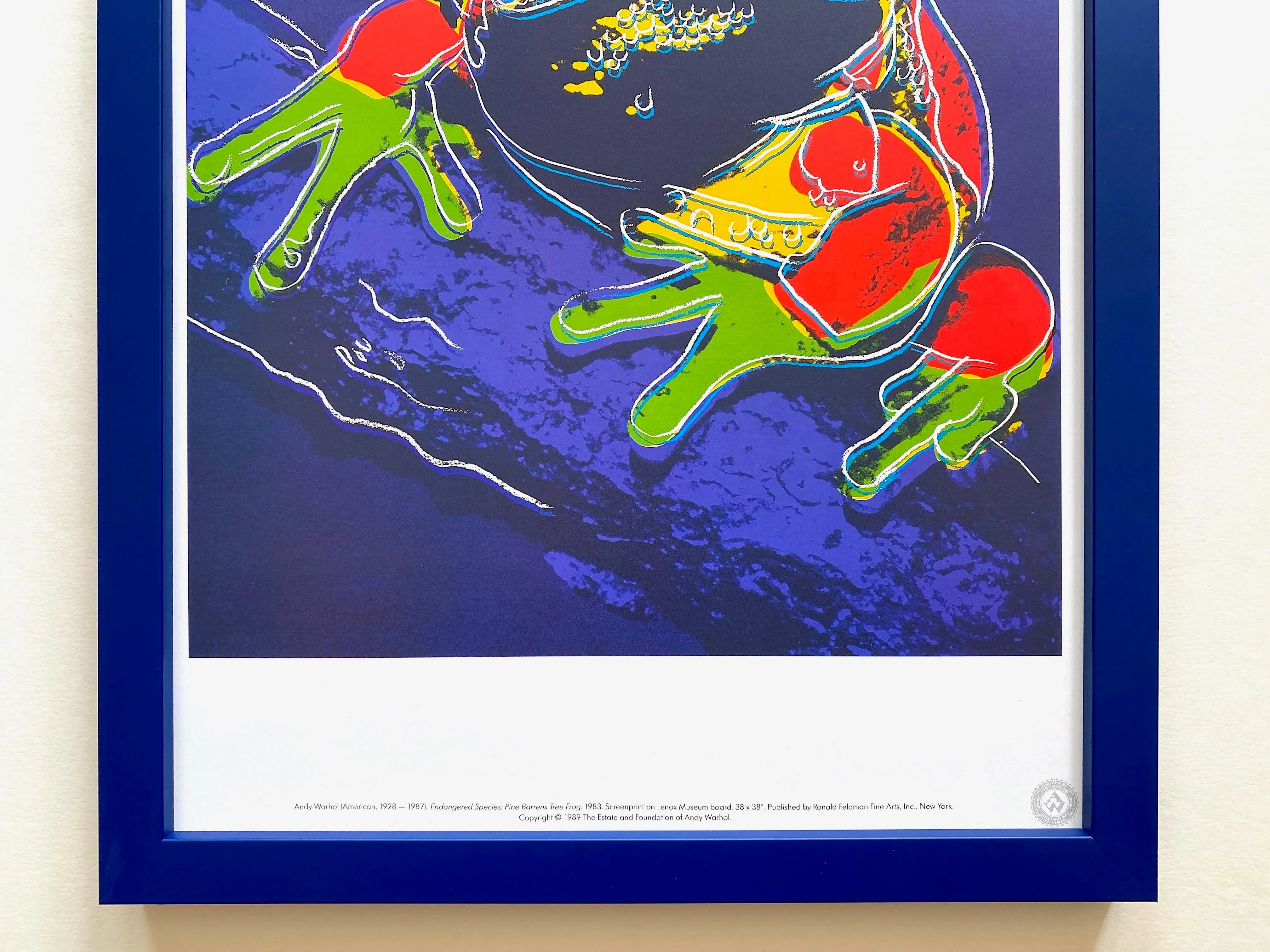 Pine Barrens Tree Frog 294 - Andy Warhol | Revolver Gallery
