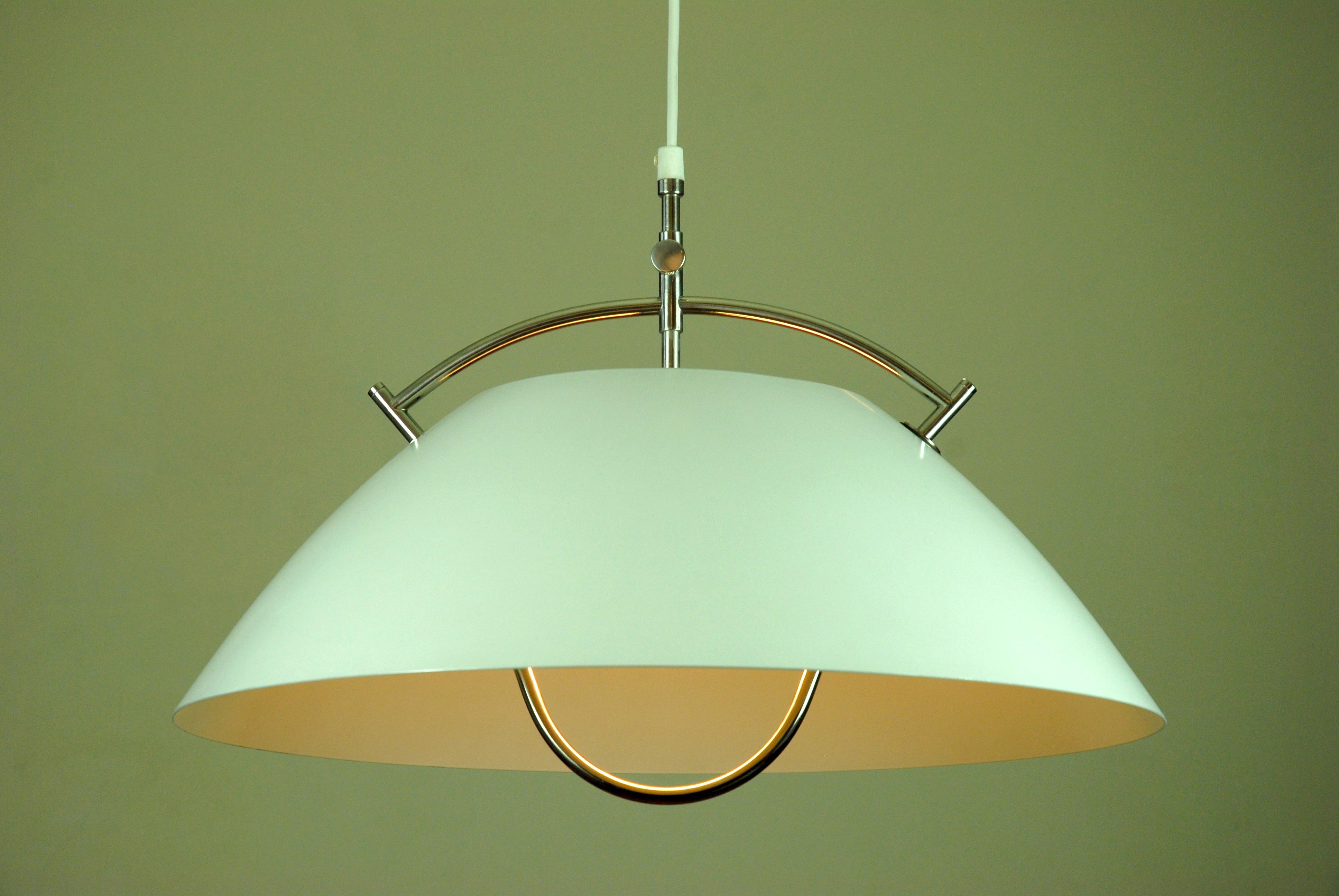 クワズイモ 斑入り 芋伏せ 増殖用 太苗2鉢セット② Hans J. Wegner