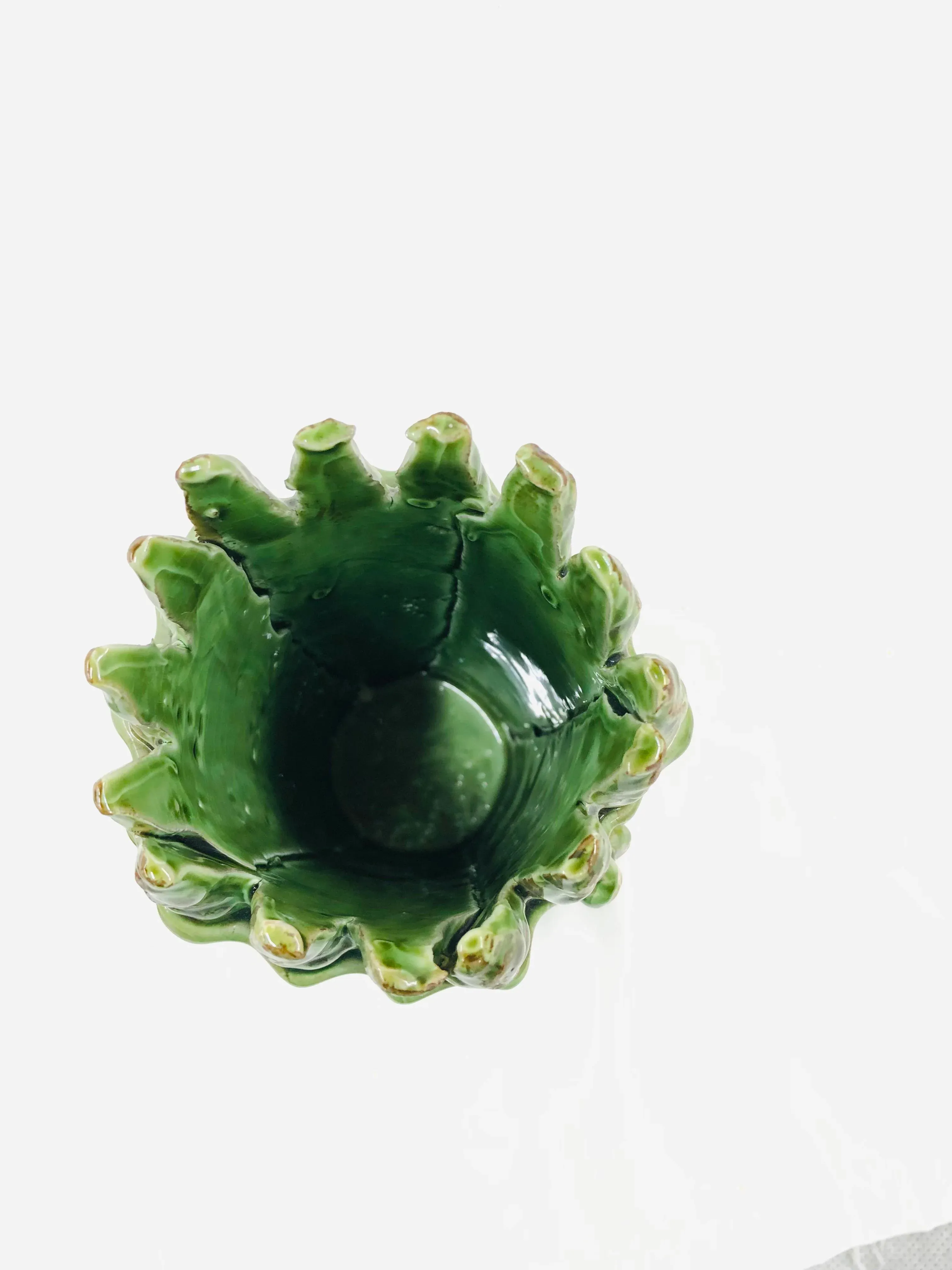 Green Asparagus Terracotta Vase