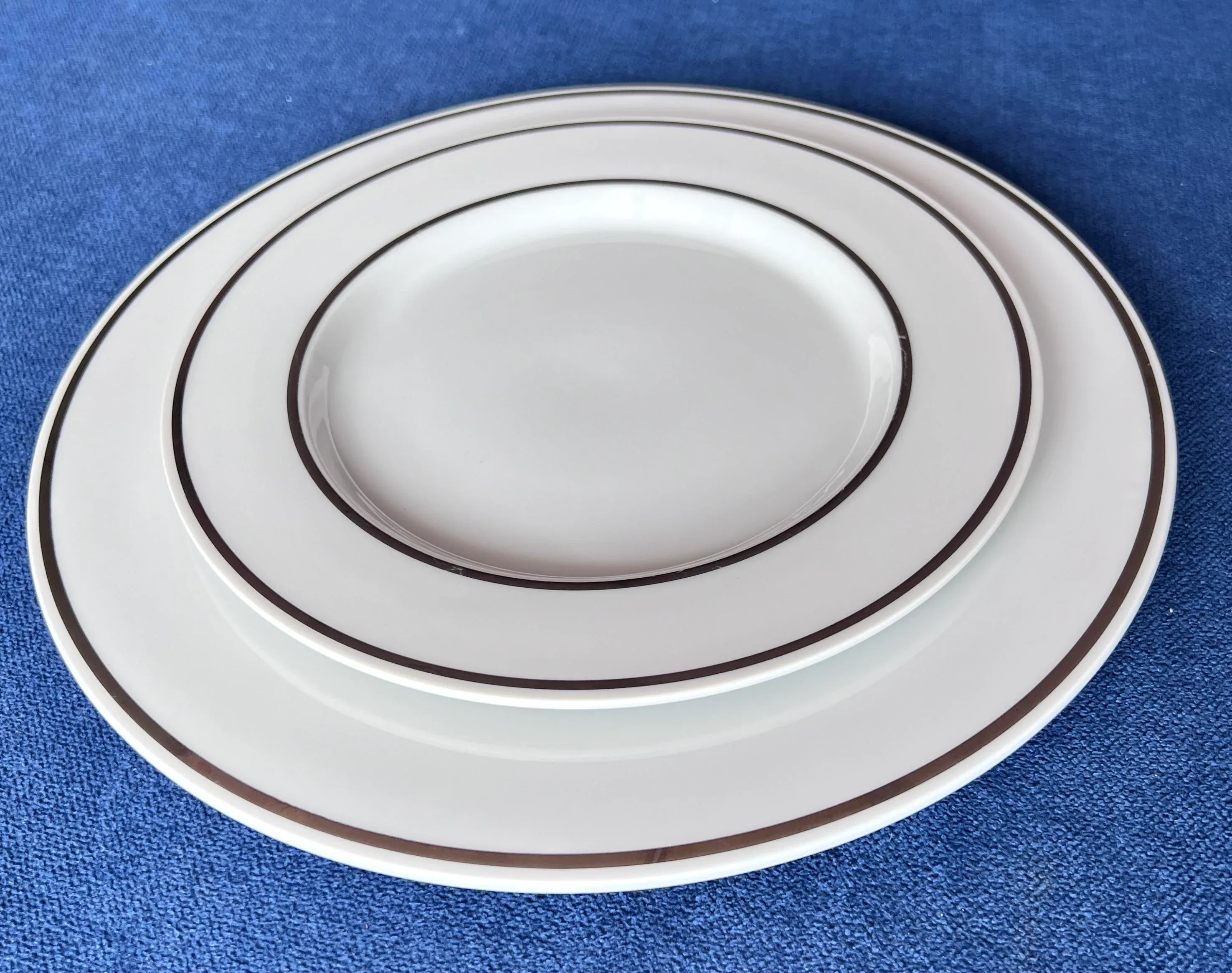 Dinner & Salad Plate Set 16 Pcs - Silver Rimmed Designer Bob