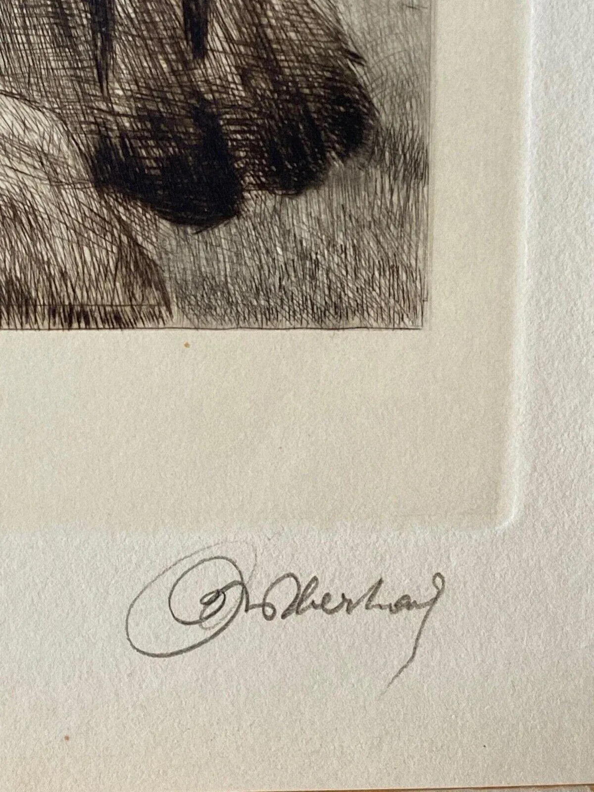1930s Curt Meyer-Eberhardt Portrait of an Eagle Etching