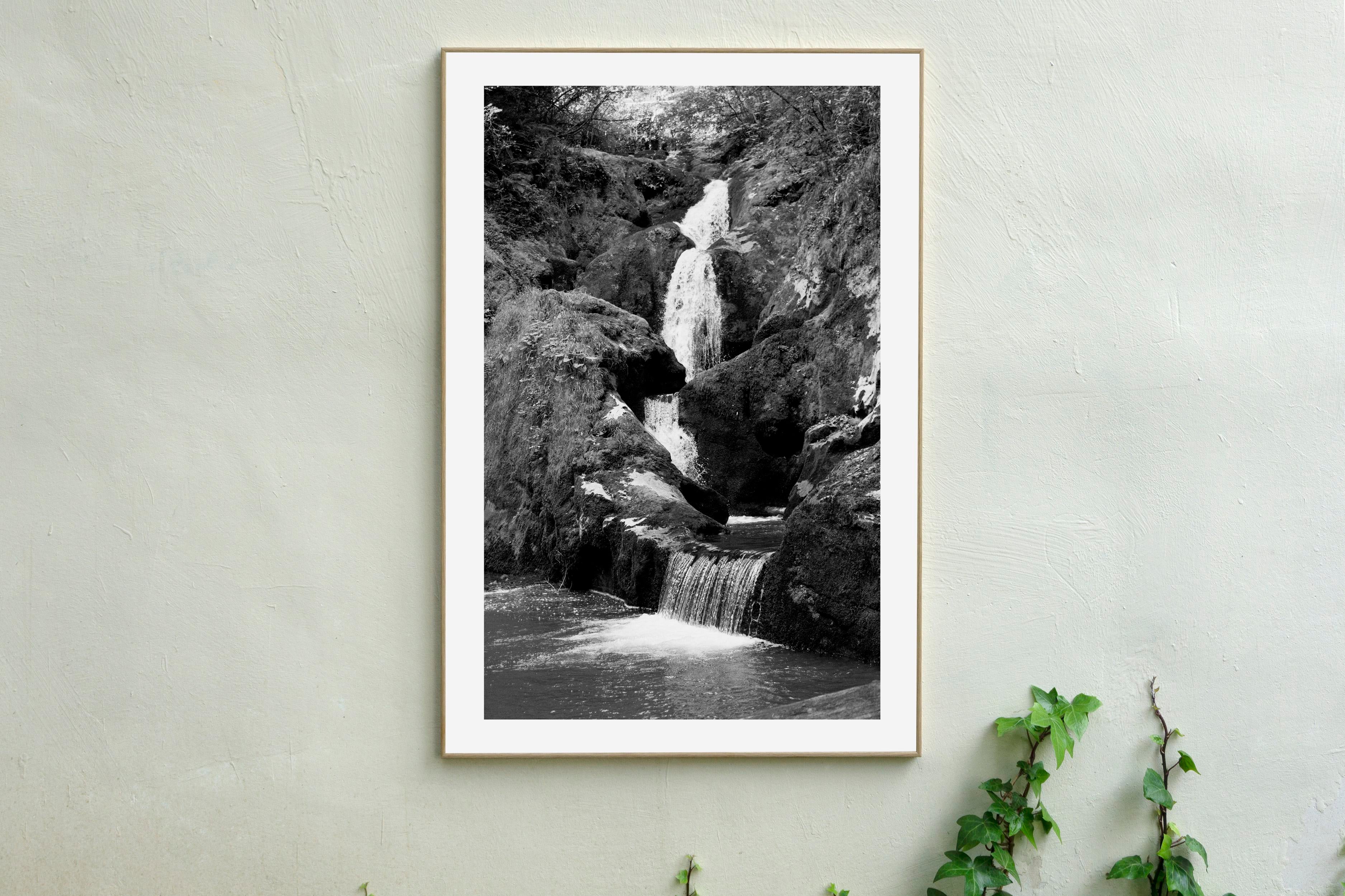 2021-zen-forest-waterfall-
