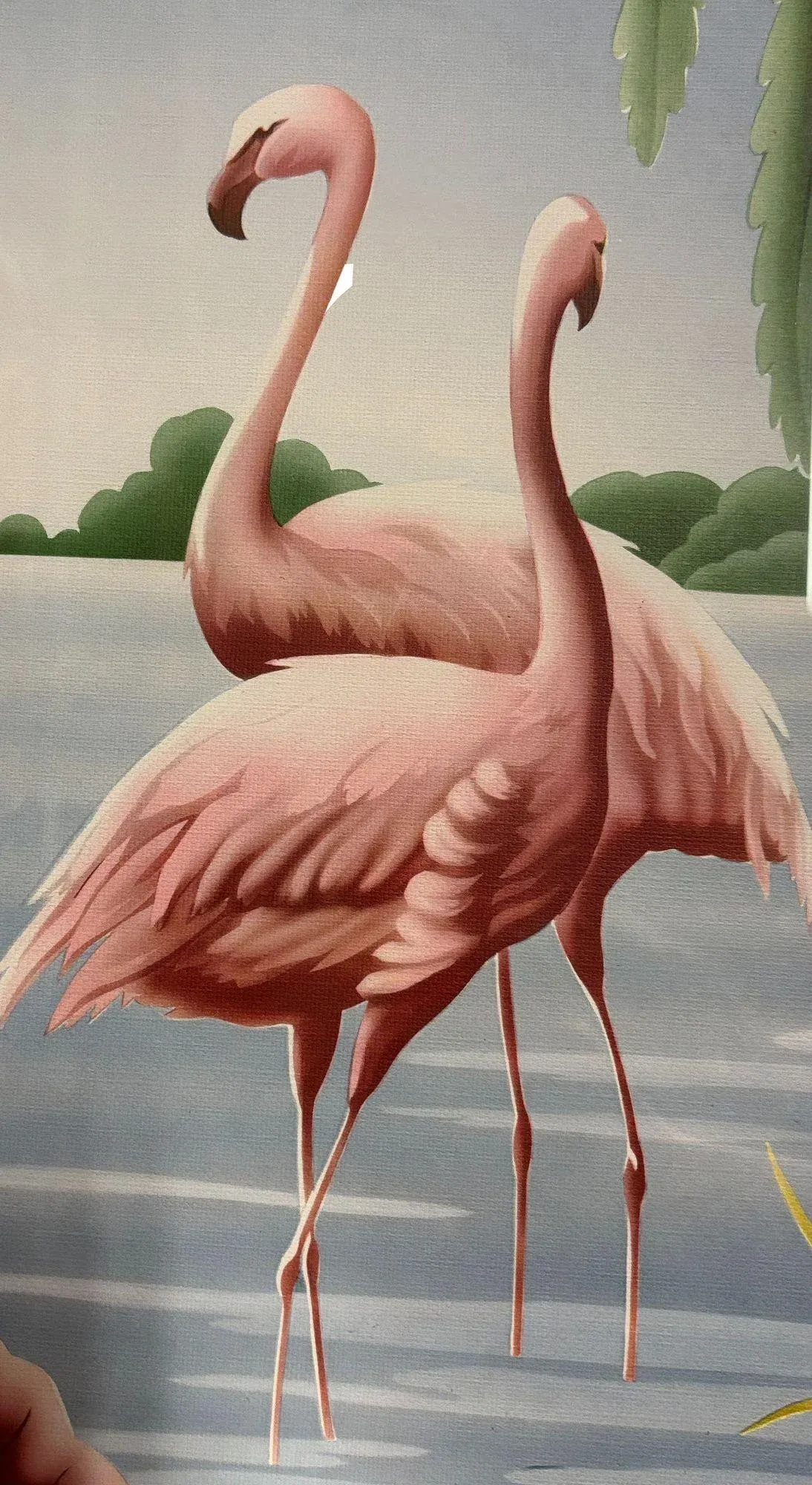 Flamingo\