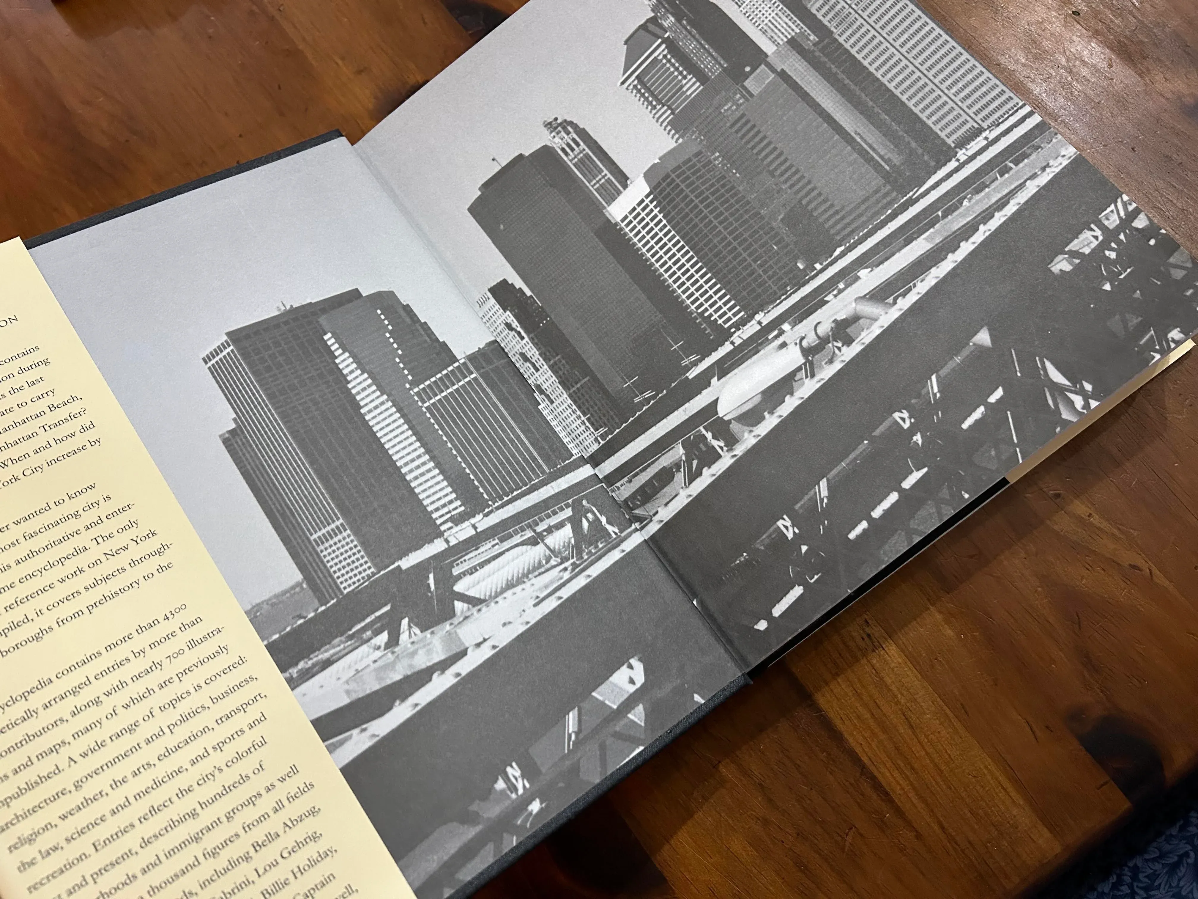 1995 the Encyclopedia of New York City by Kenneth T Jackson | Chairish