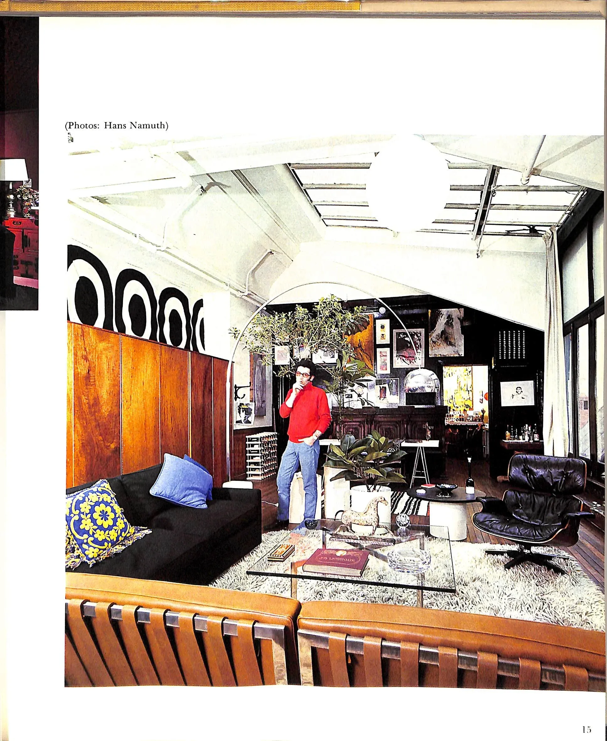 洋書★young designs in living★BerbaraPlumb Young Designs in Living