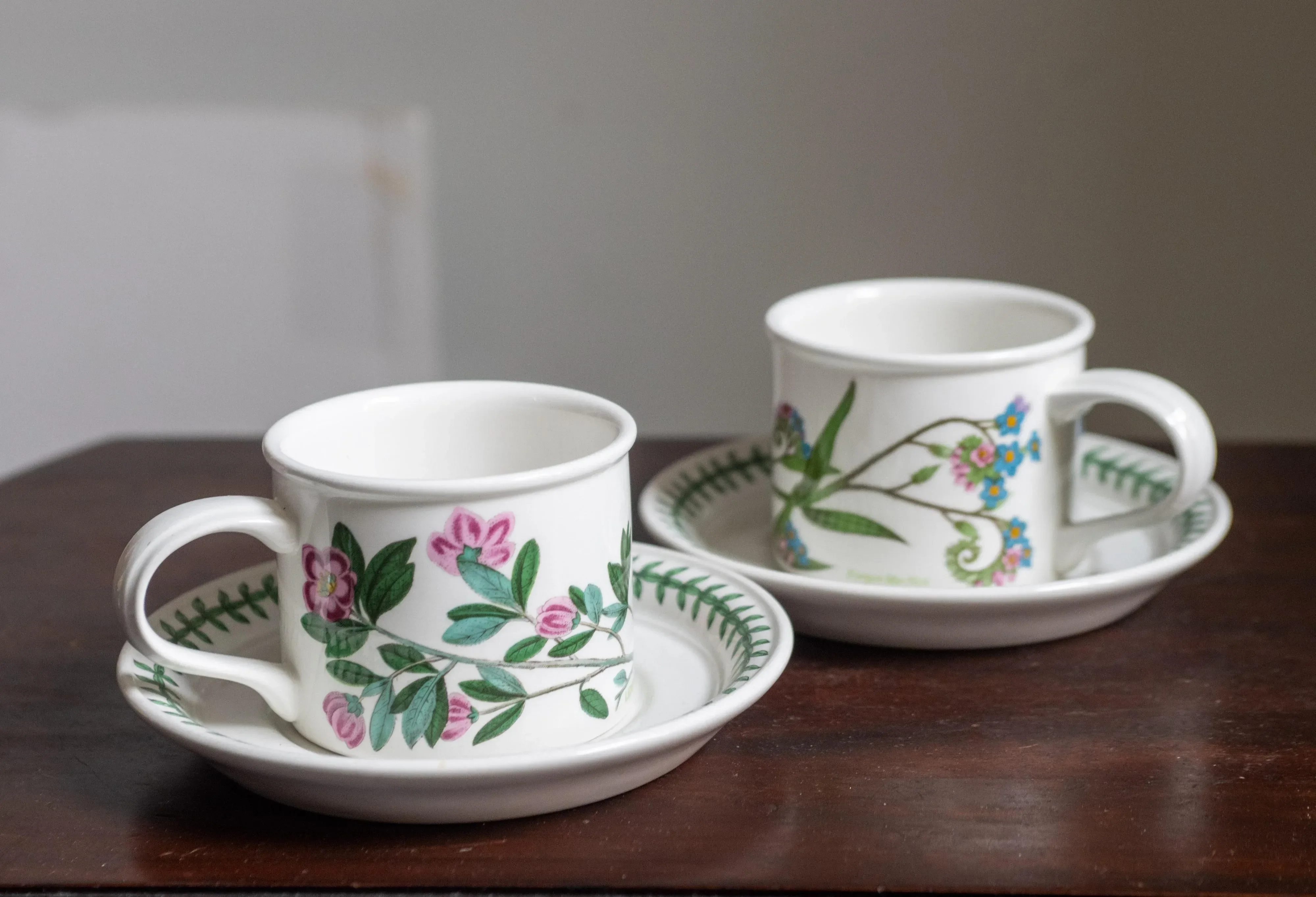 Vintage Portmeirion Botanic Garden Tea Breakfast Mugs and Saucer