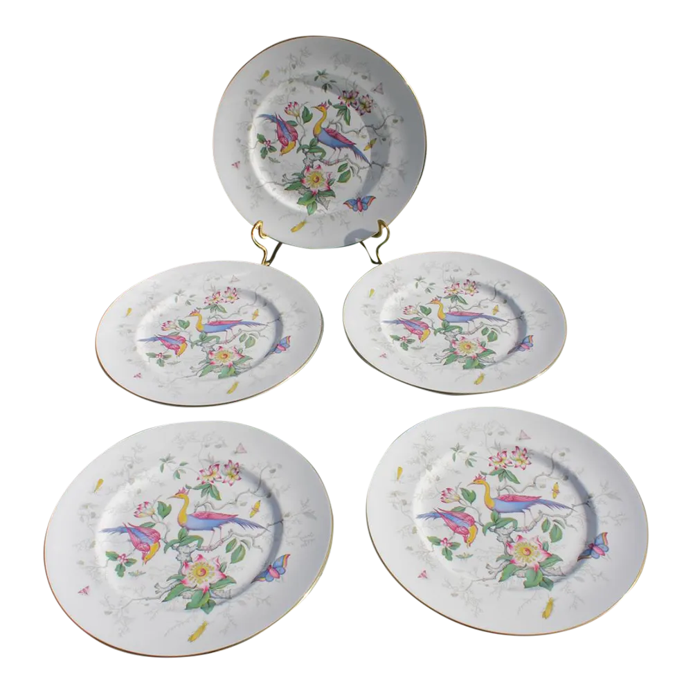 Set of 5 Coalport Bone China Dinner Plates in the Paradise Pattern