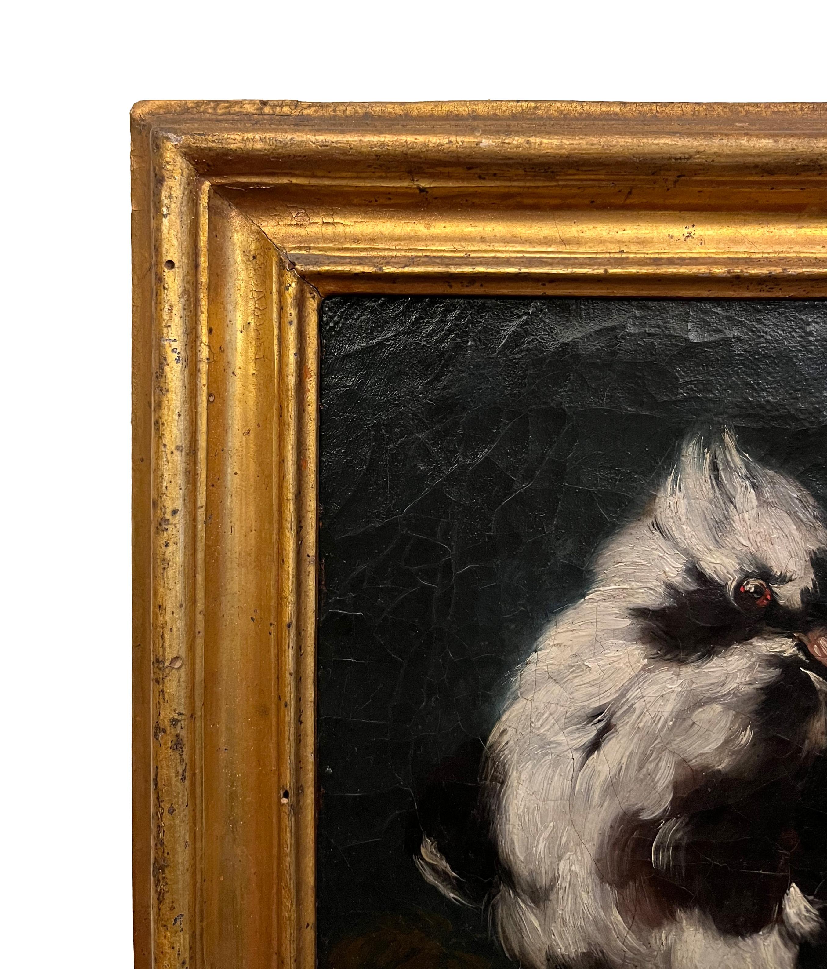 Domenico Guidobono, Living Nature with Pigeon, 18th-17th Century, Oil on Canvas, Framed