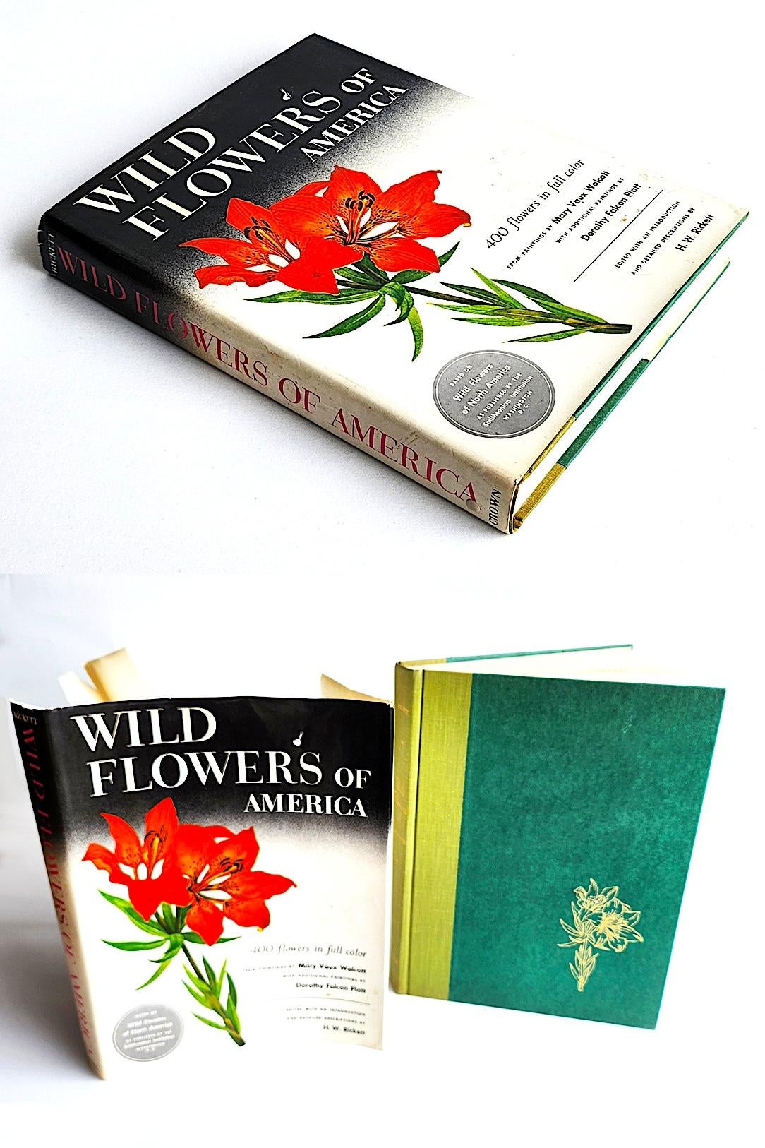 超希少 1876年 アンティーク WILD FLOWERS 手彩色 大型本 超希少 1876年 アンティーク WILD FLOWERS 手彩色 大型本-オンライン