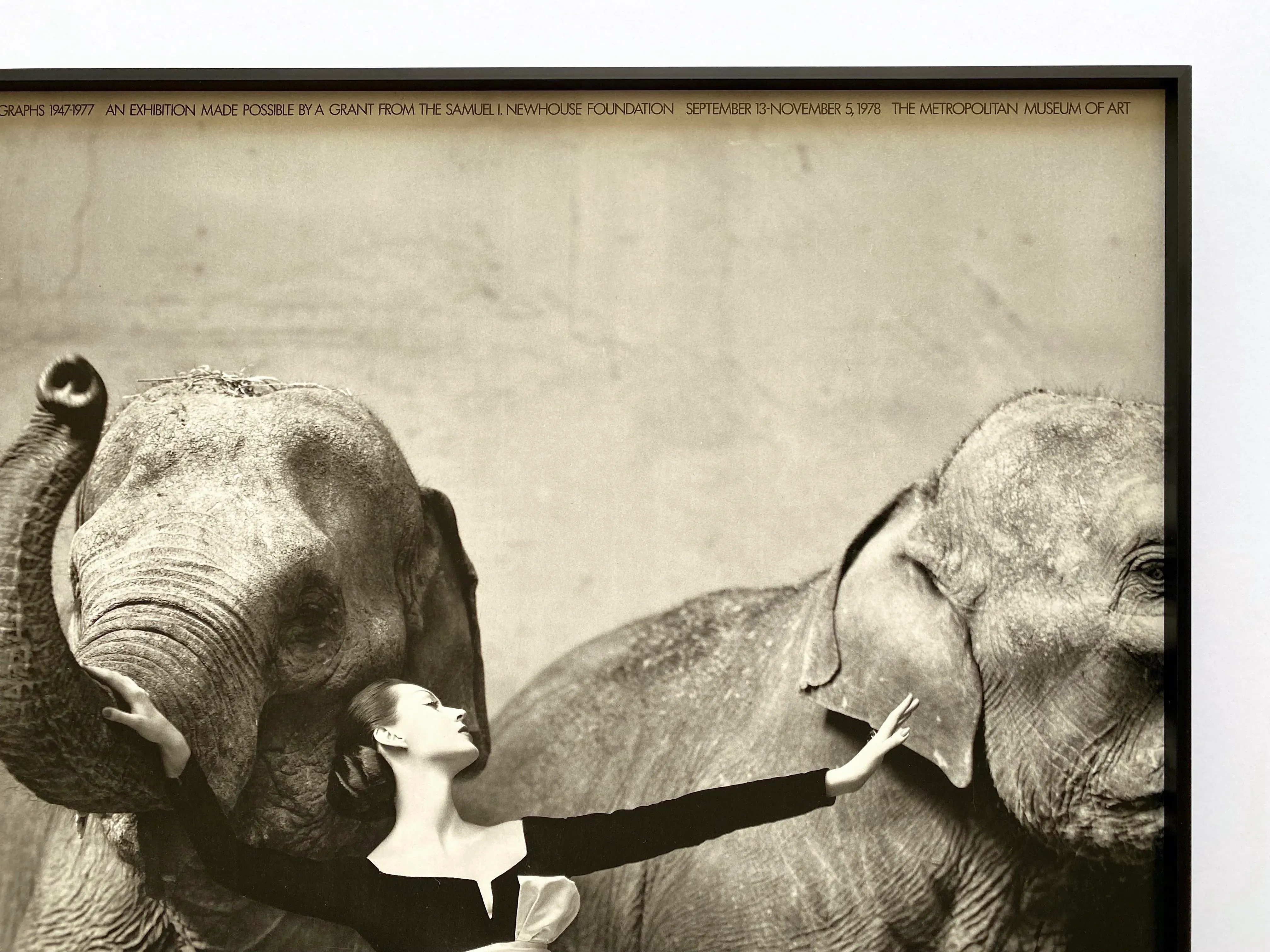 Richard Avedon Vintage 1978 Lithograph Photo Print Framed